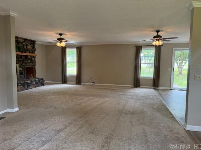 305 Vine Property Photo 6
