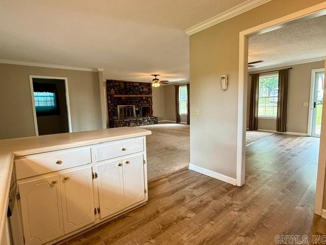 305 Vine Property Photo 16