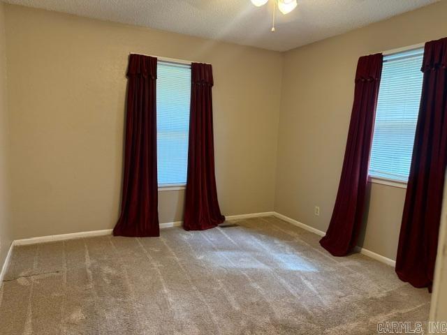 305 Vine Property Photo 20