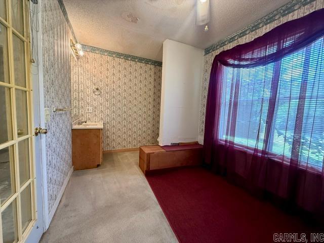 305 Vine Property Photo 28