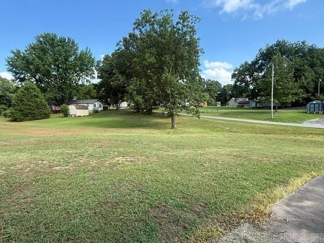 305 Vine Property Photo 32