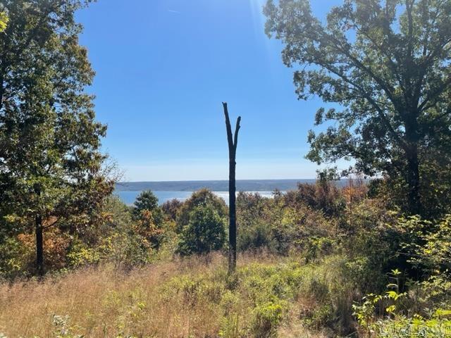 Lot 1 Diamond Bluff (estates East) Property Photo 1