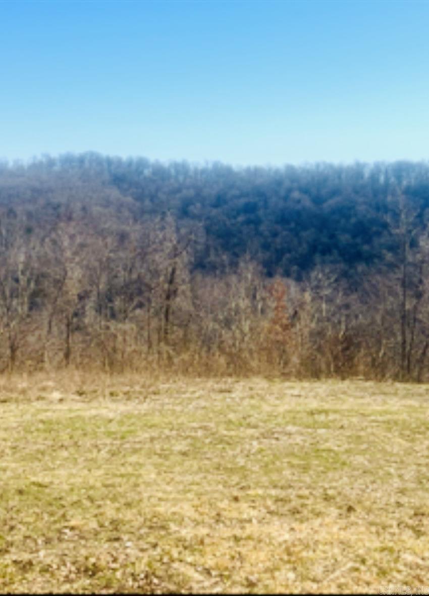 1277 Eagle Point Road Property Photo 4