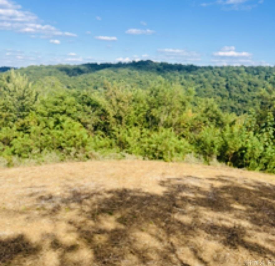 1277 Eagle Point Road Property Photo 5