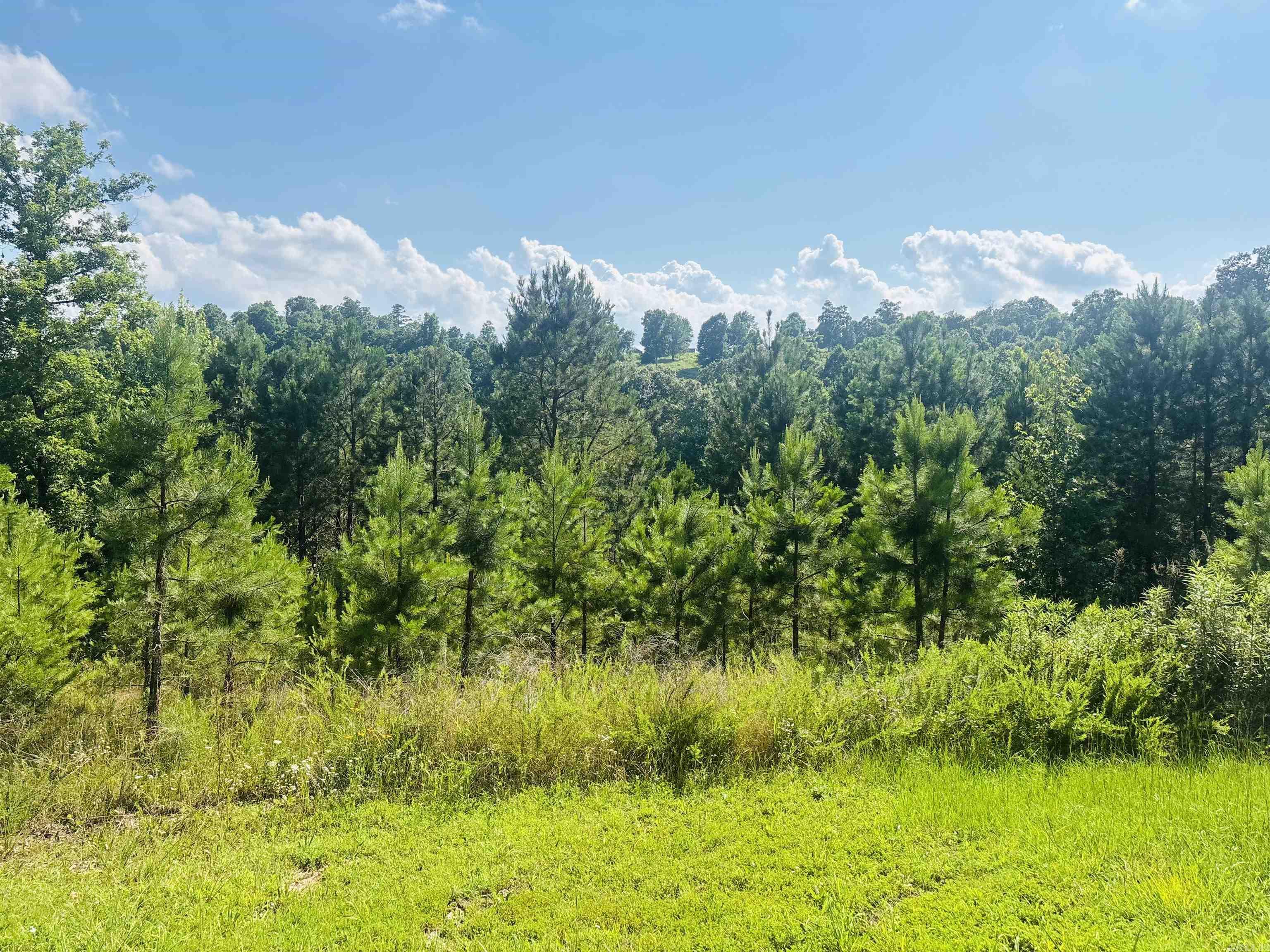 00 Geier W 14 Highway Property Photo 2