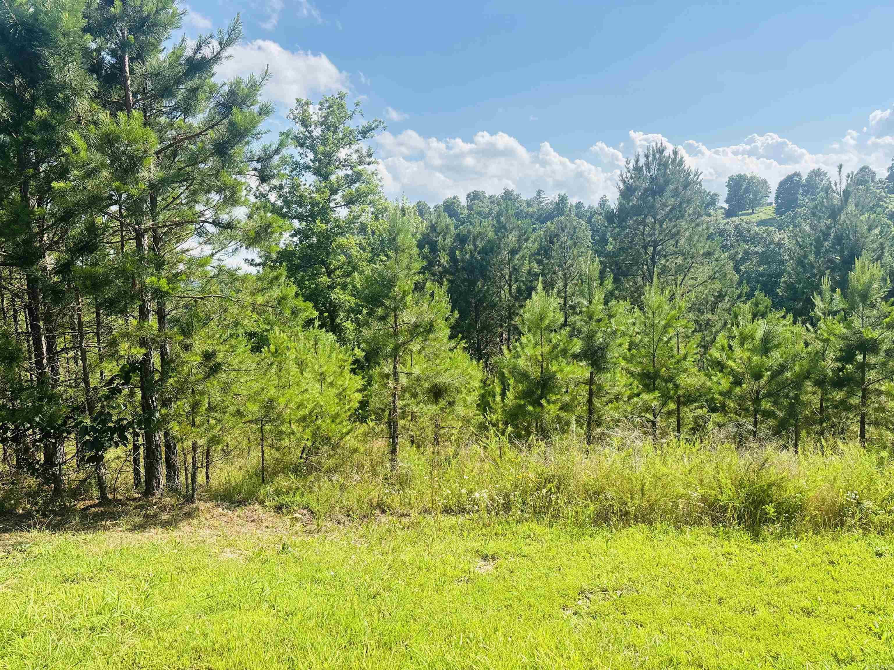 00 Geier W 14 Highway Property Photo 3