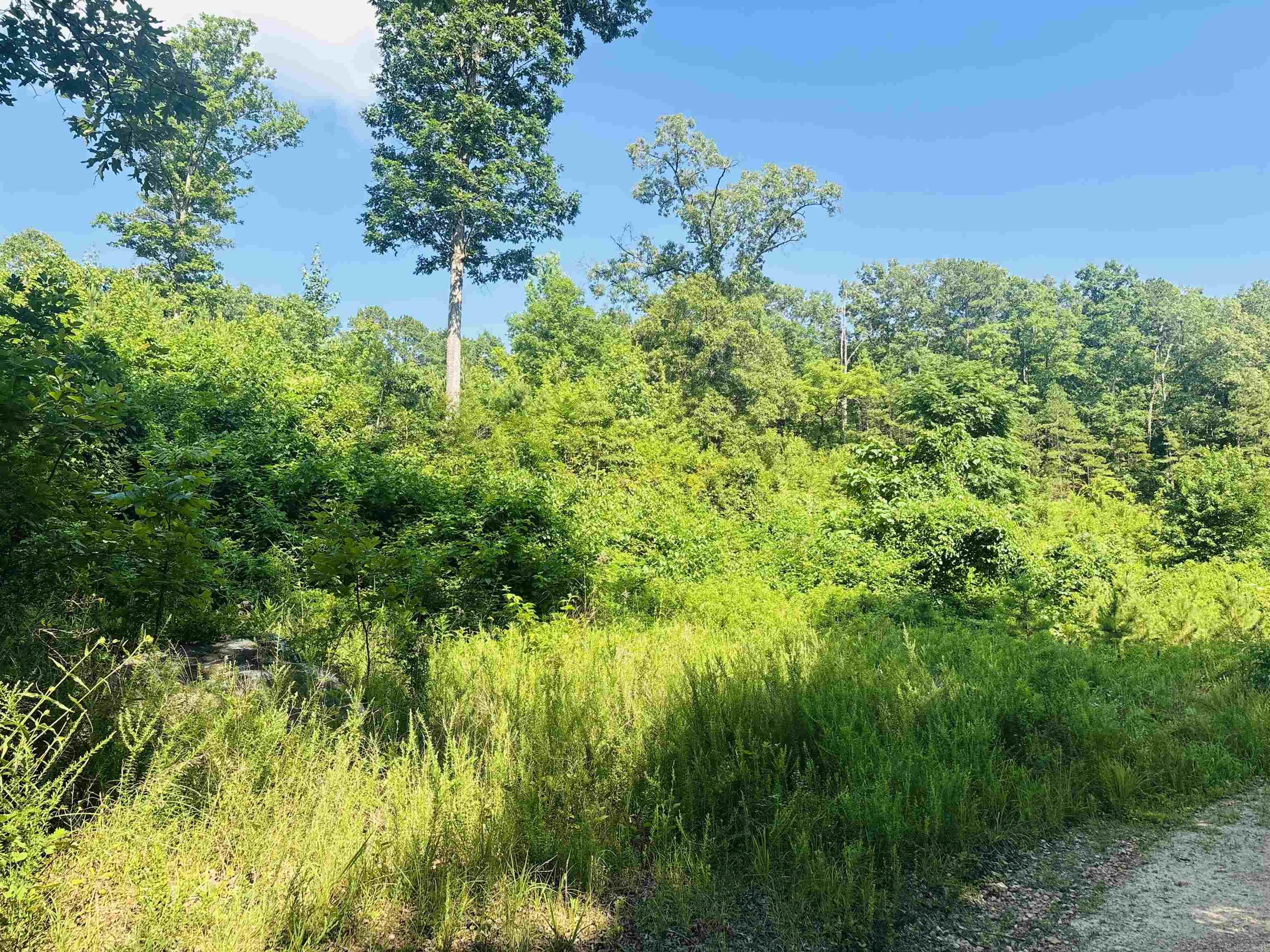00 Geier W 14 Highway Property Photo 4