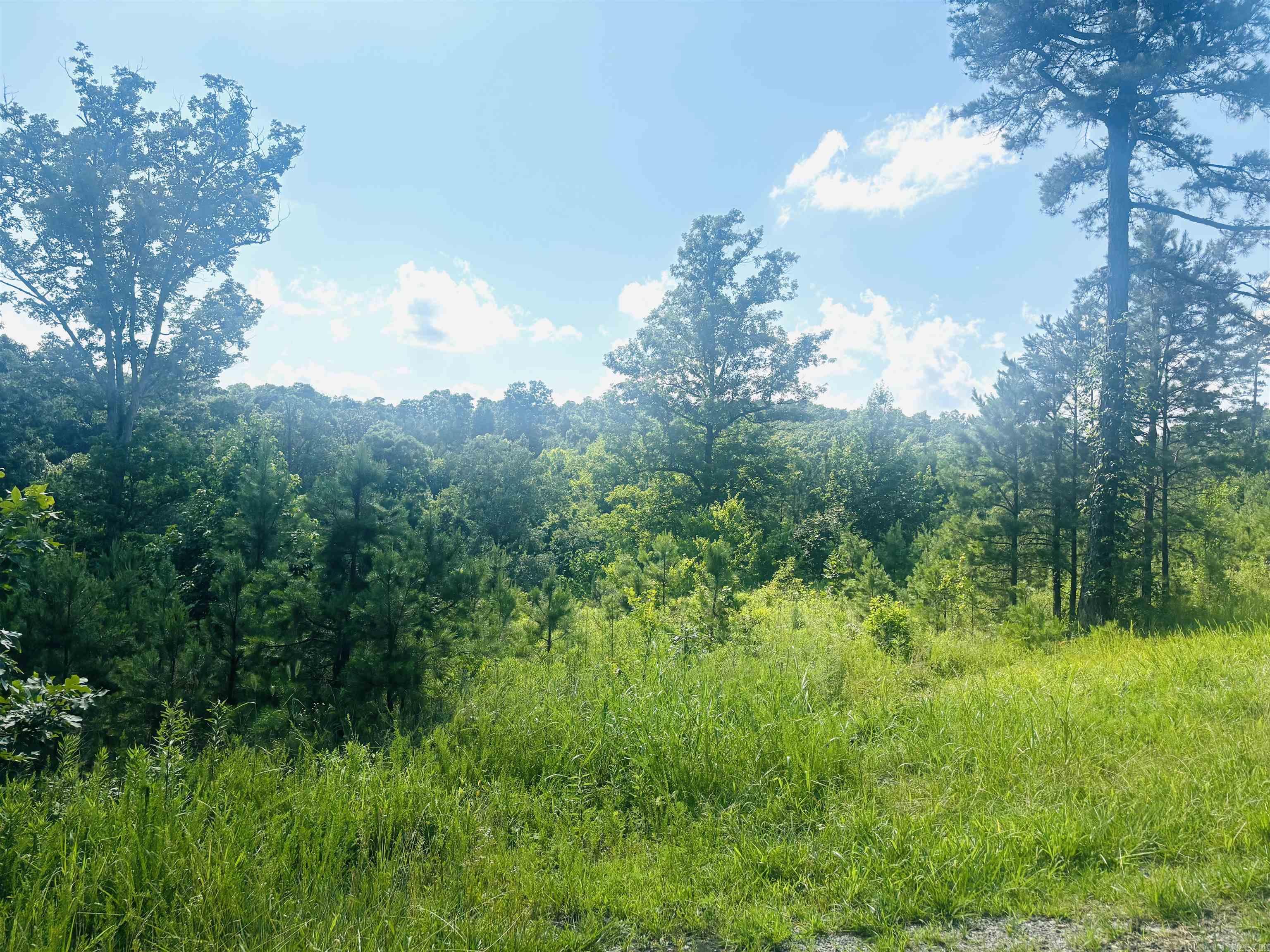 00 Geier W 14 Highway Property Photo 10