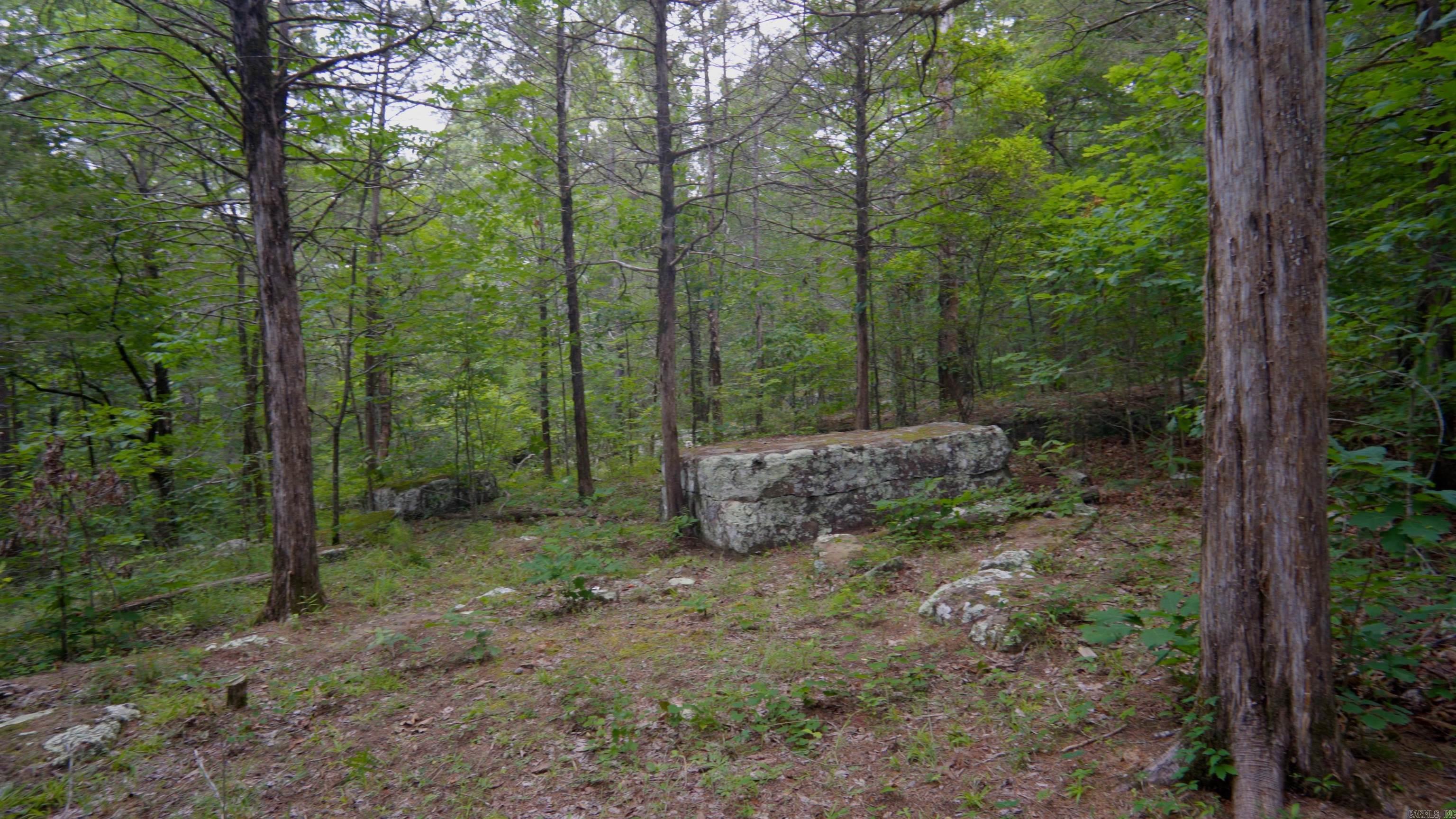 00 Brimer Lot 131 Lane Property Photo 5