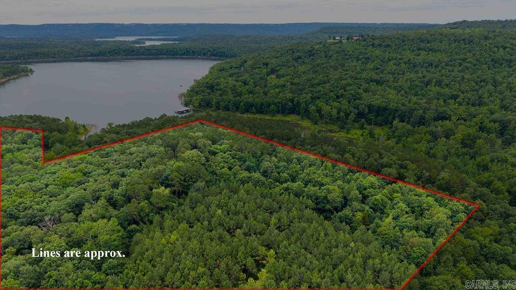 000 Smith Lane Property Photo 11
