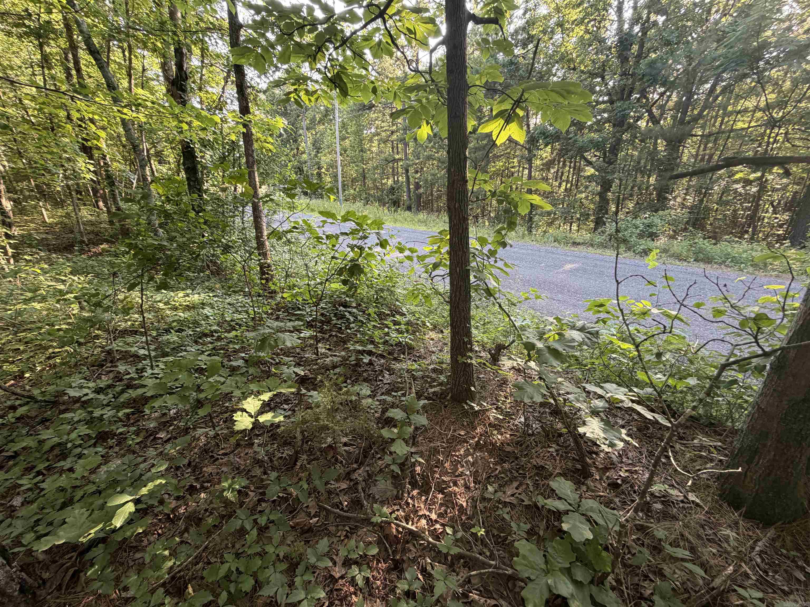 0 Kirkendoll Road Property Photo 6