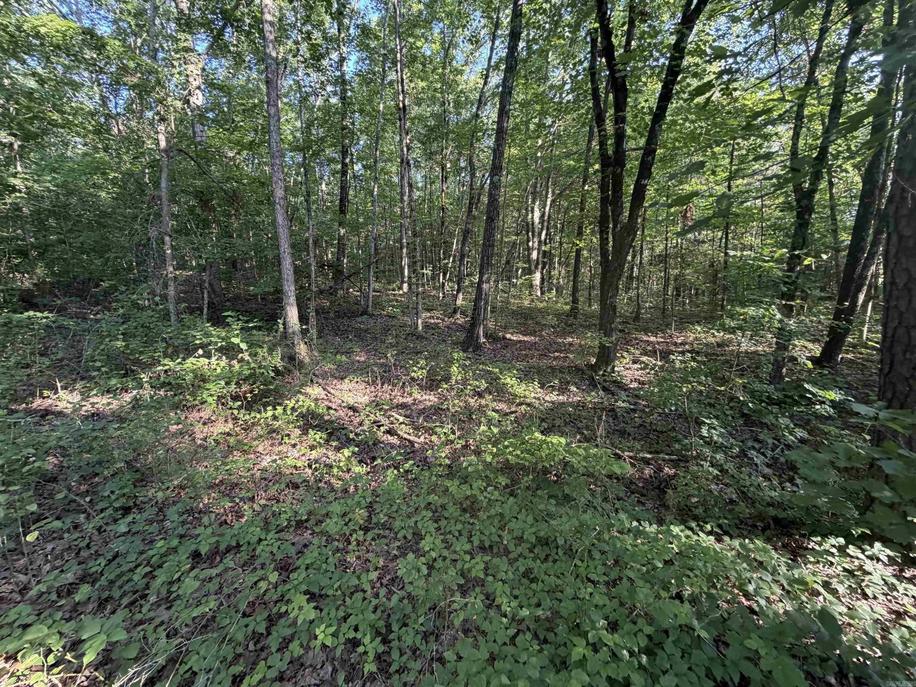 0 Kirkendoll Road Property Photo 7