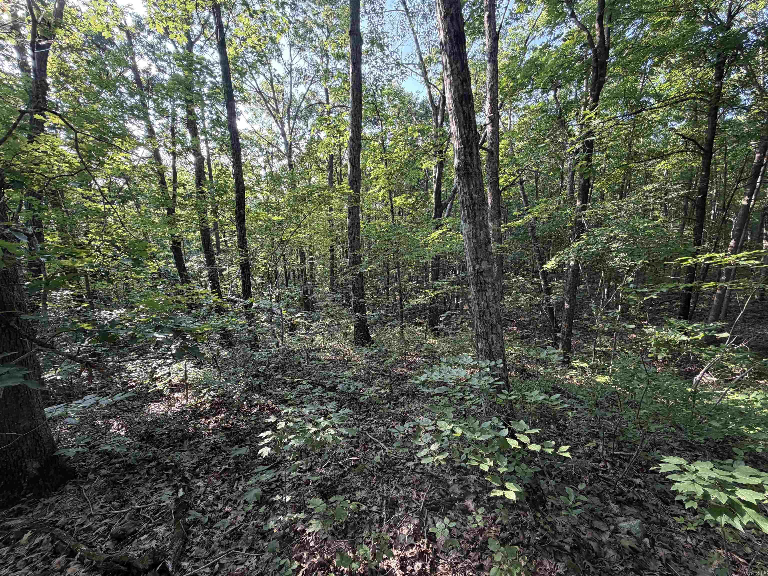 0 Kirkendoll Road Property Photo 16