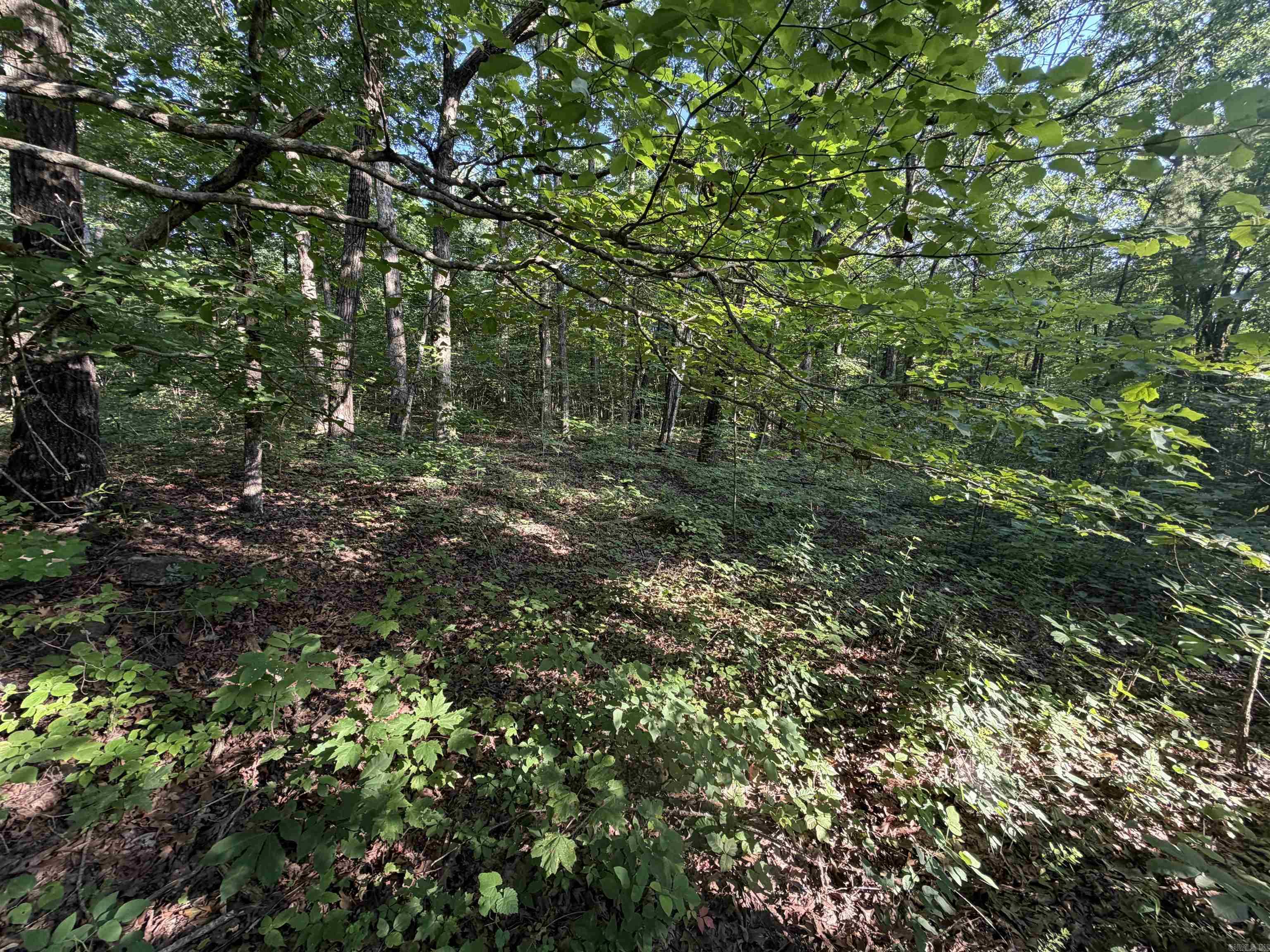 0 Kirkendoll Road Property Photo 18