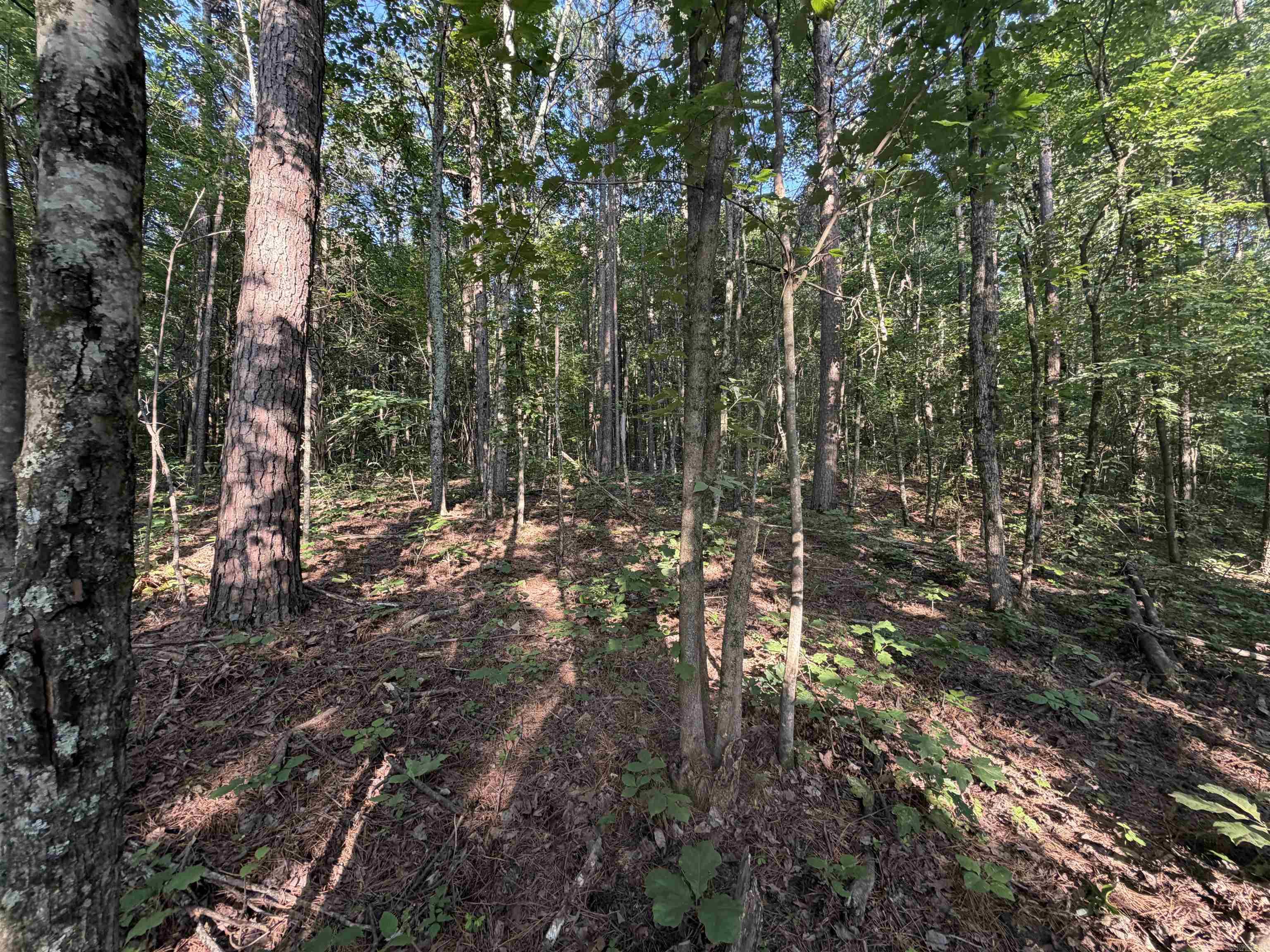 0 Kirkendoll Road Property Photo 19