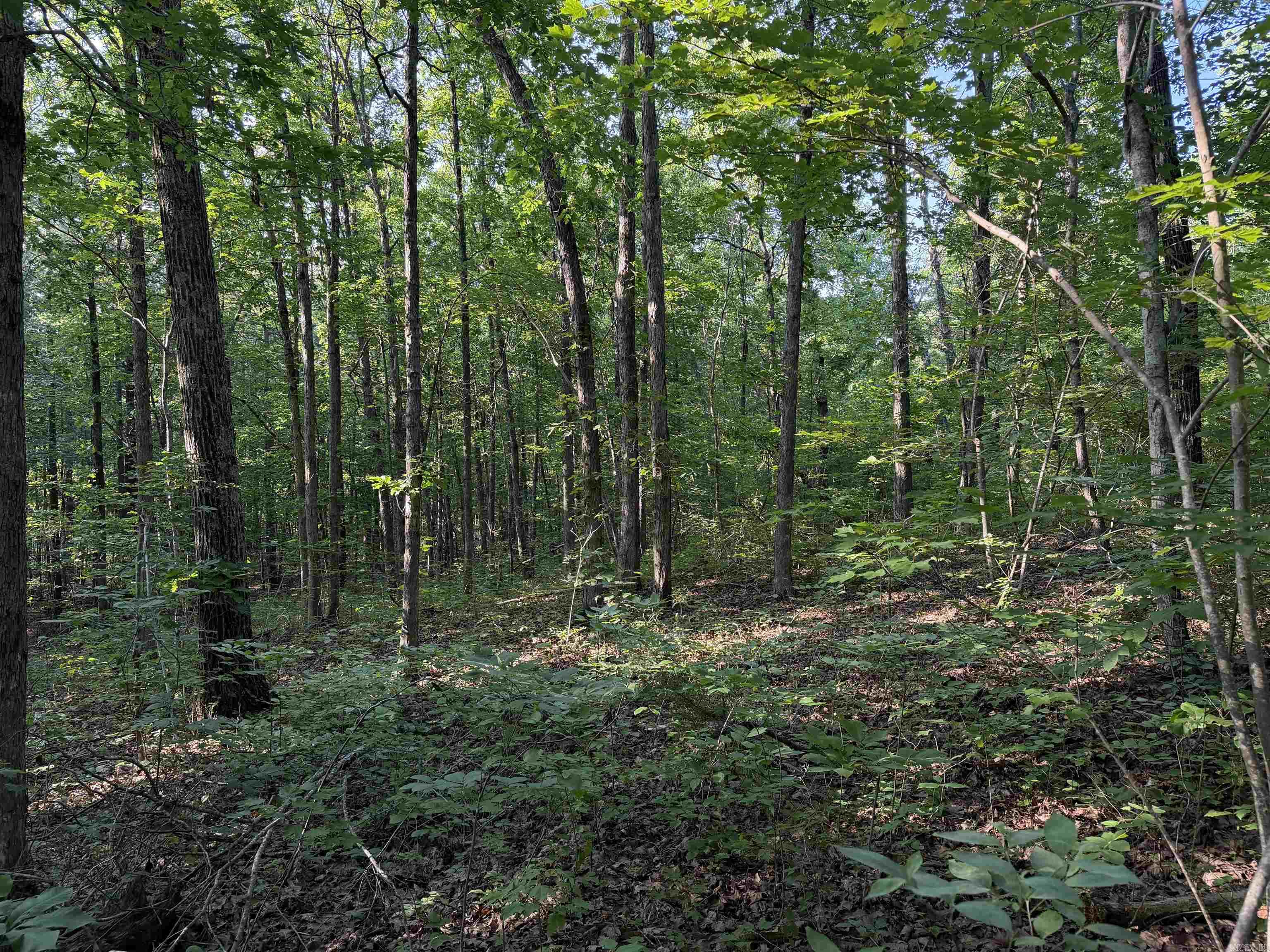 0 Kirkendoll Road Property Photo 30