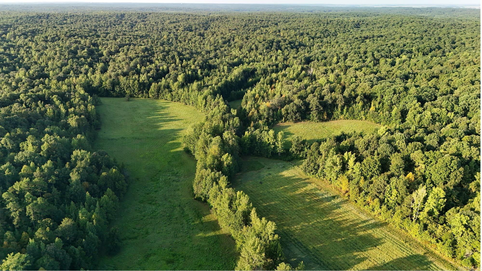 100 Acres Highway 34 West Property Photo 2