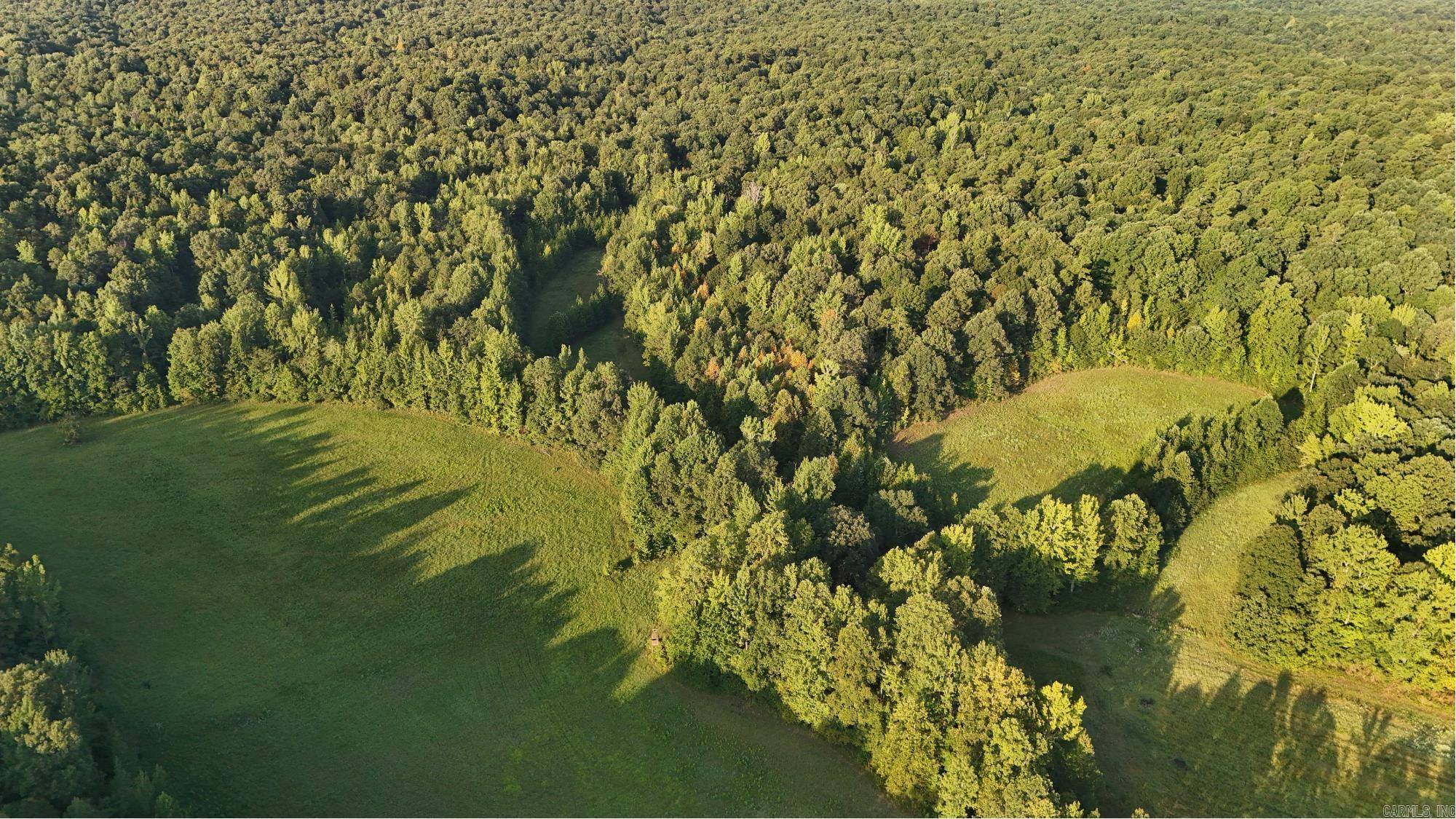 100 Acres Highway 34 West Property Photo 4