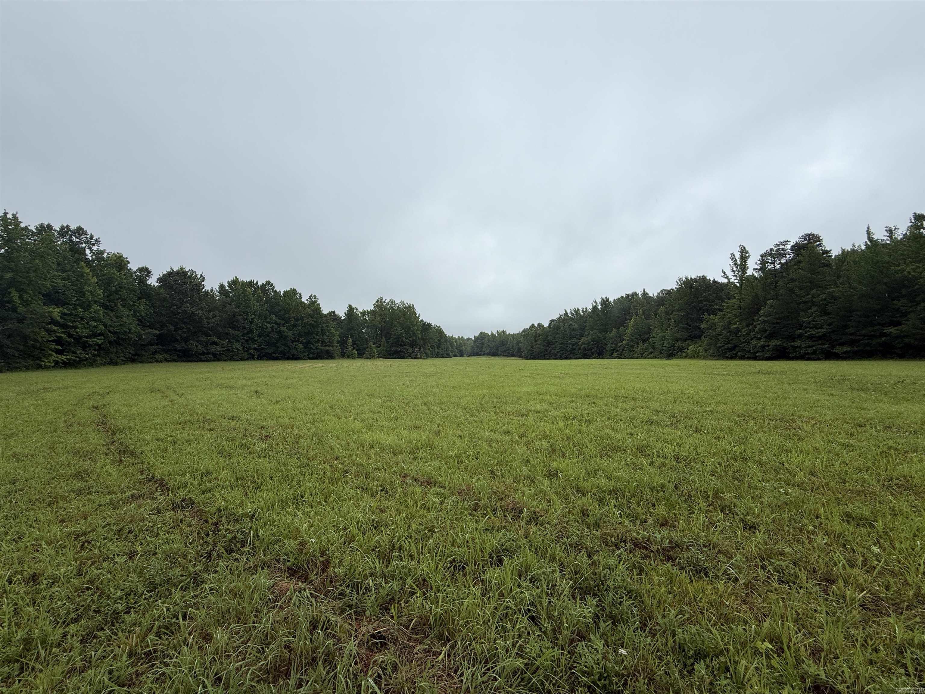 100 Acres Highway 34 West Property Photo 8