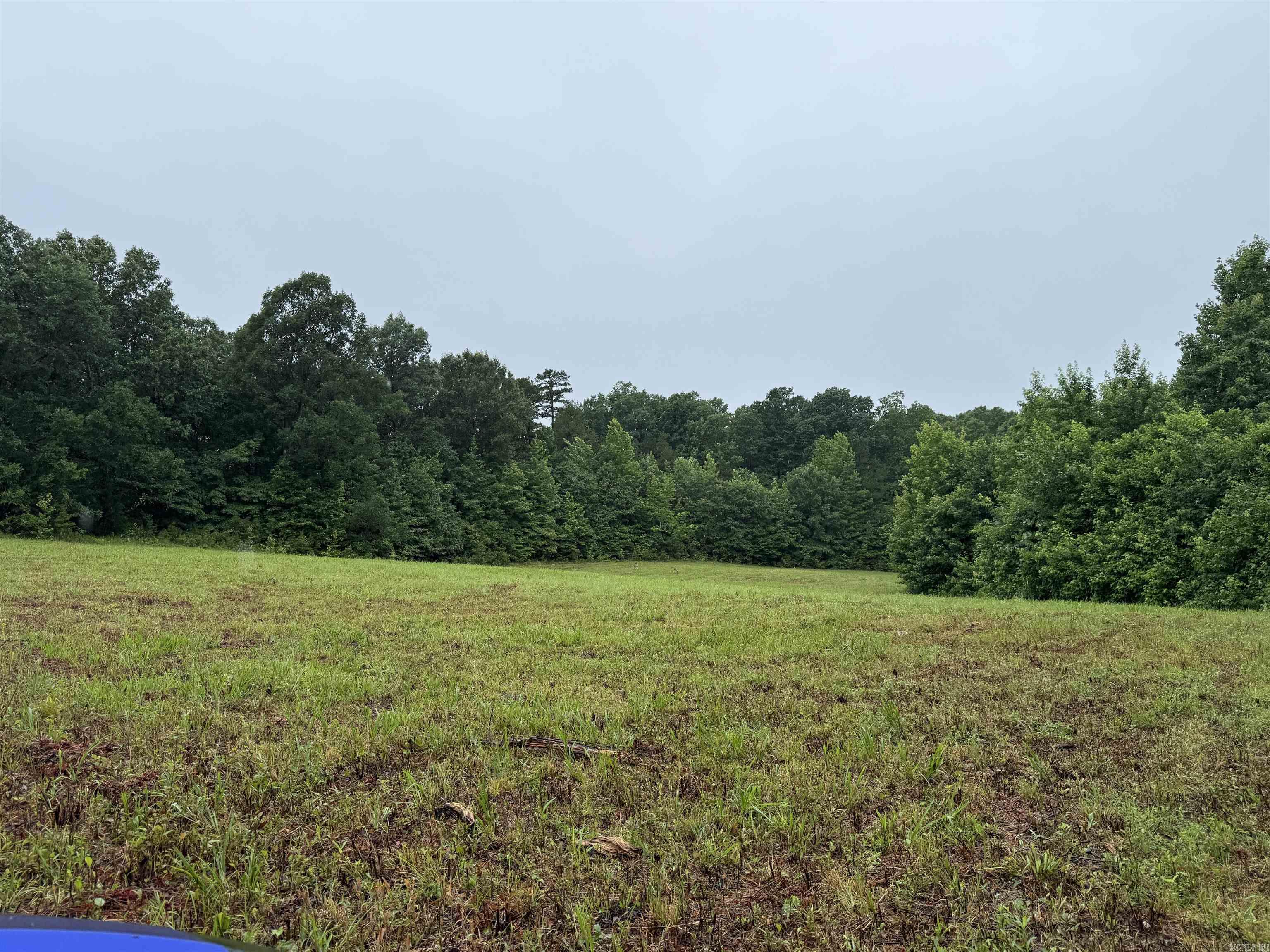 100 Acres Highway 34 West Property Photo 12
