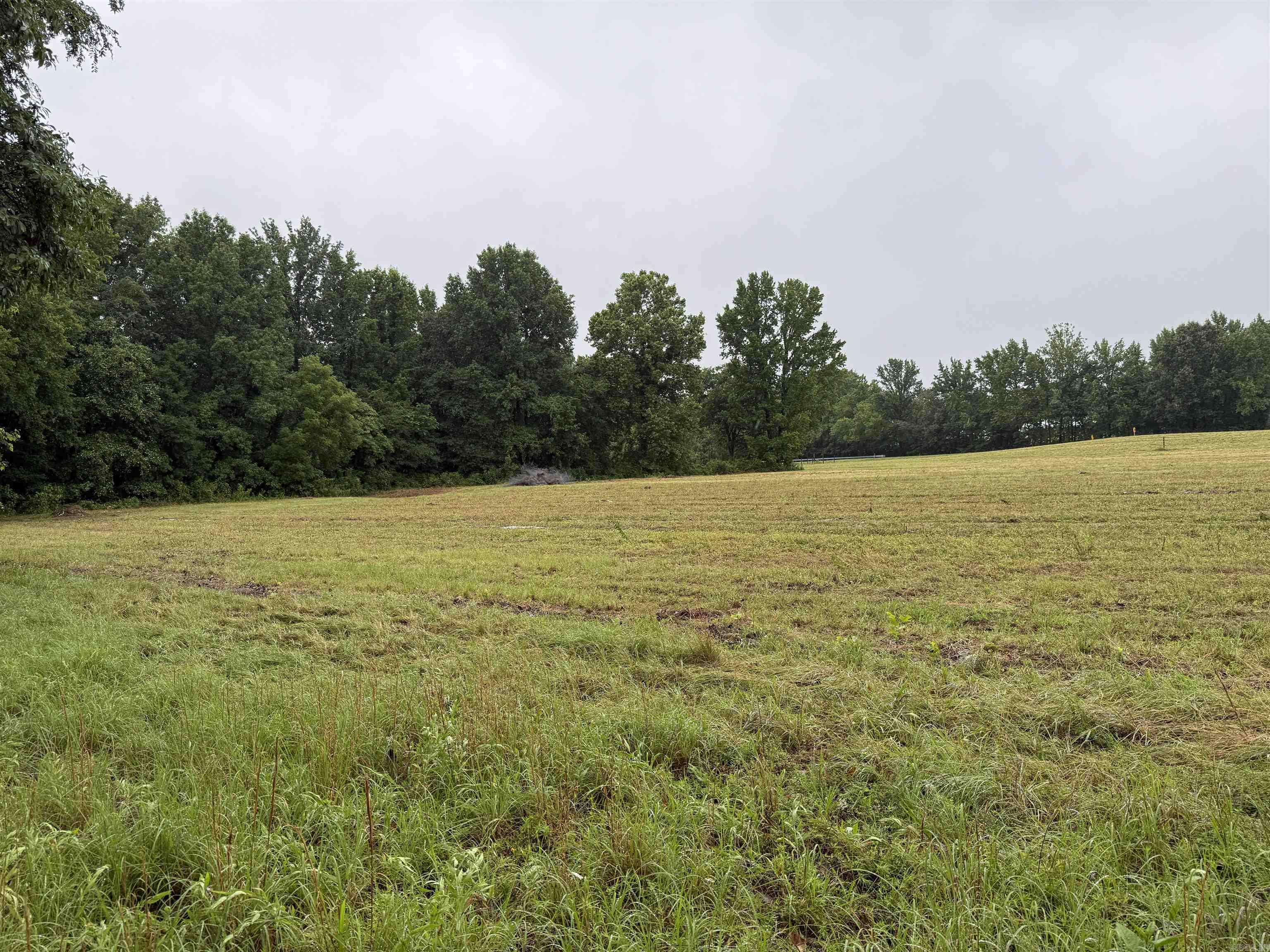 100 Acres Highway 34 West Property Photo 14
