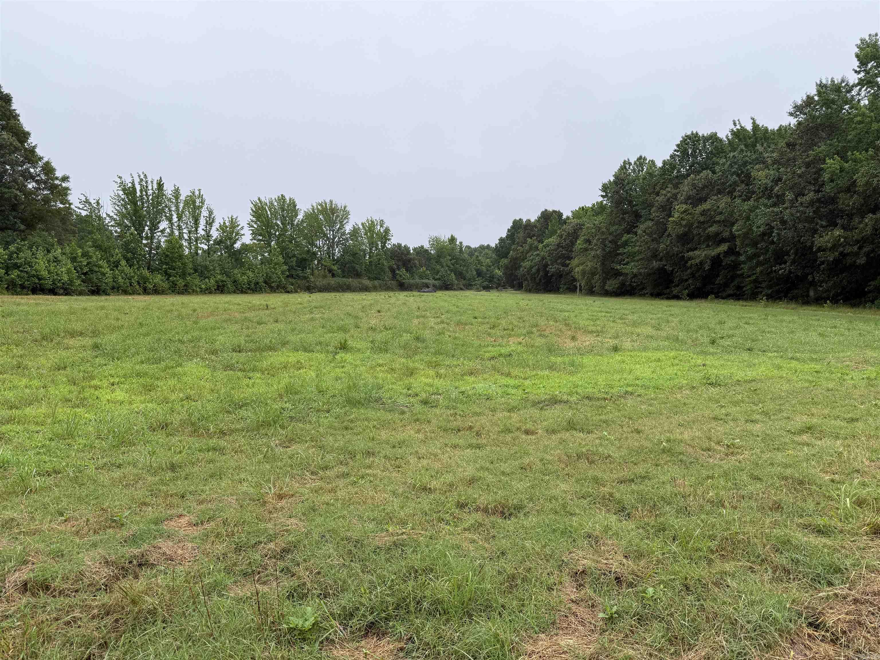 100 Acres Highway 34 West Property Photo 15