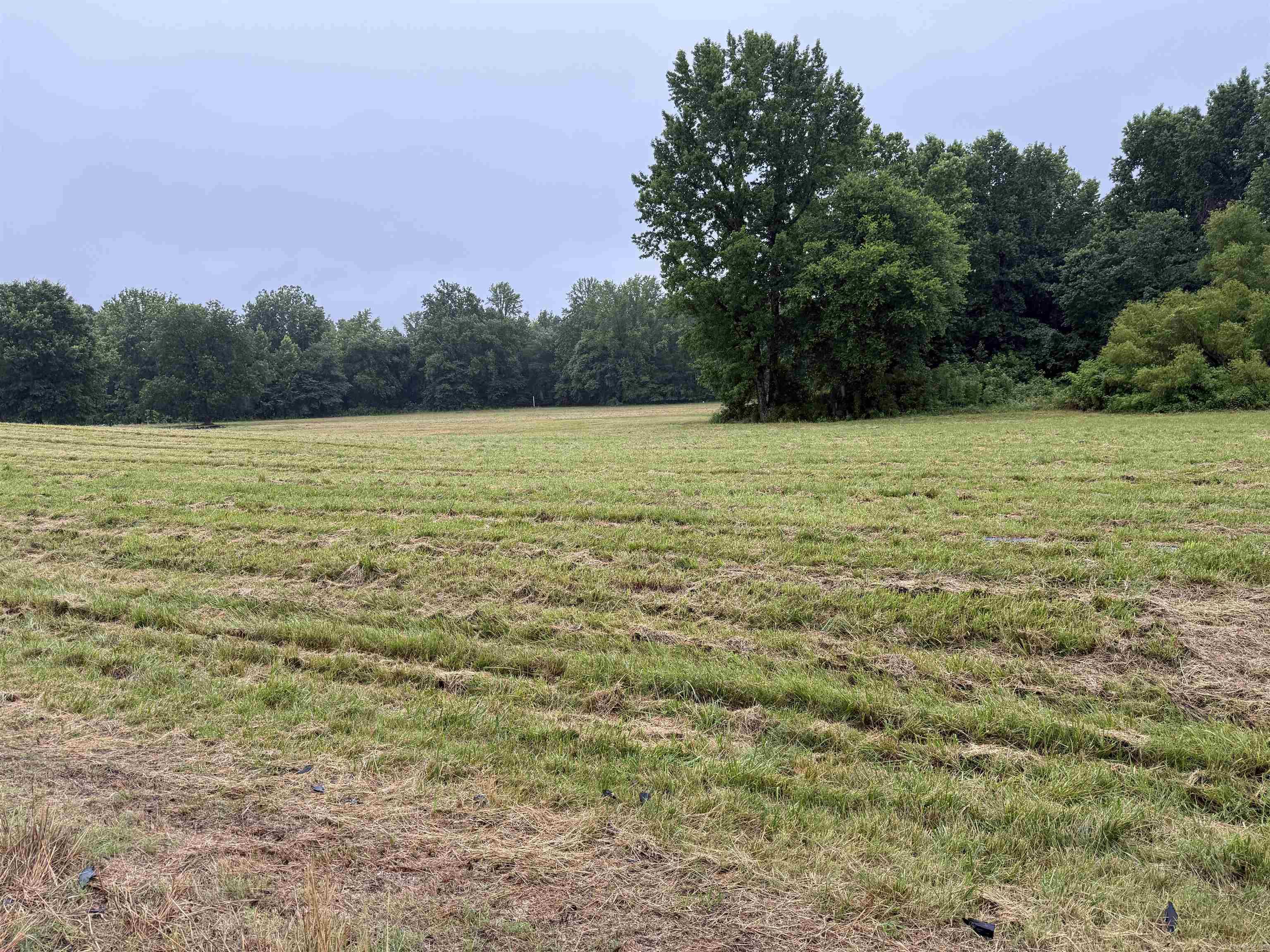 100 Acres Highway 34 West Property Photo 16