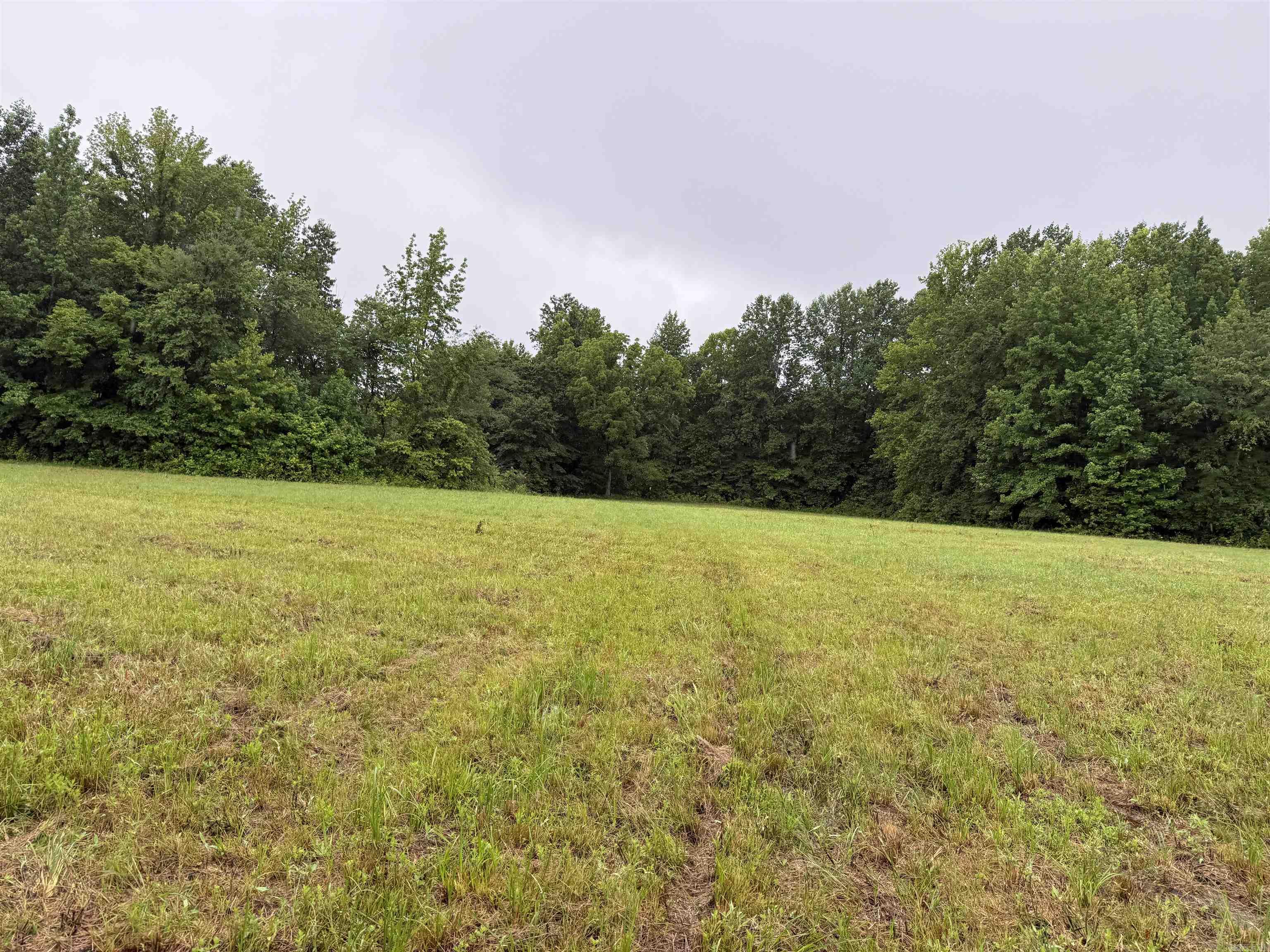100 Acres Highway 34 West Property Photo 17
