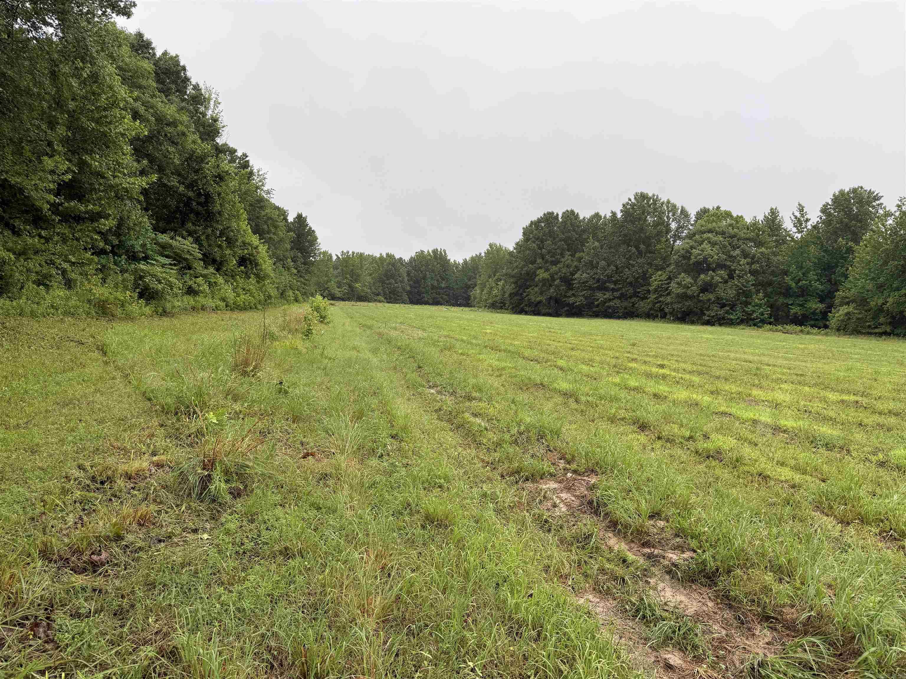 100 Acres Highway 34 West Property Photo 18