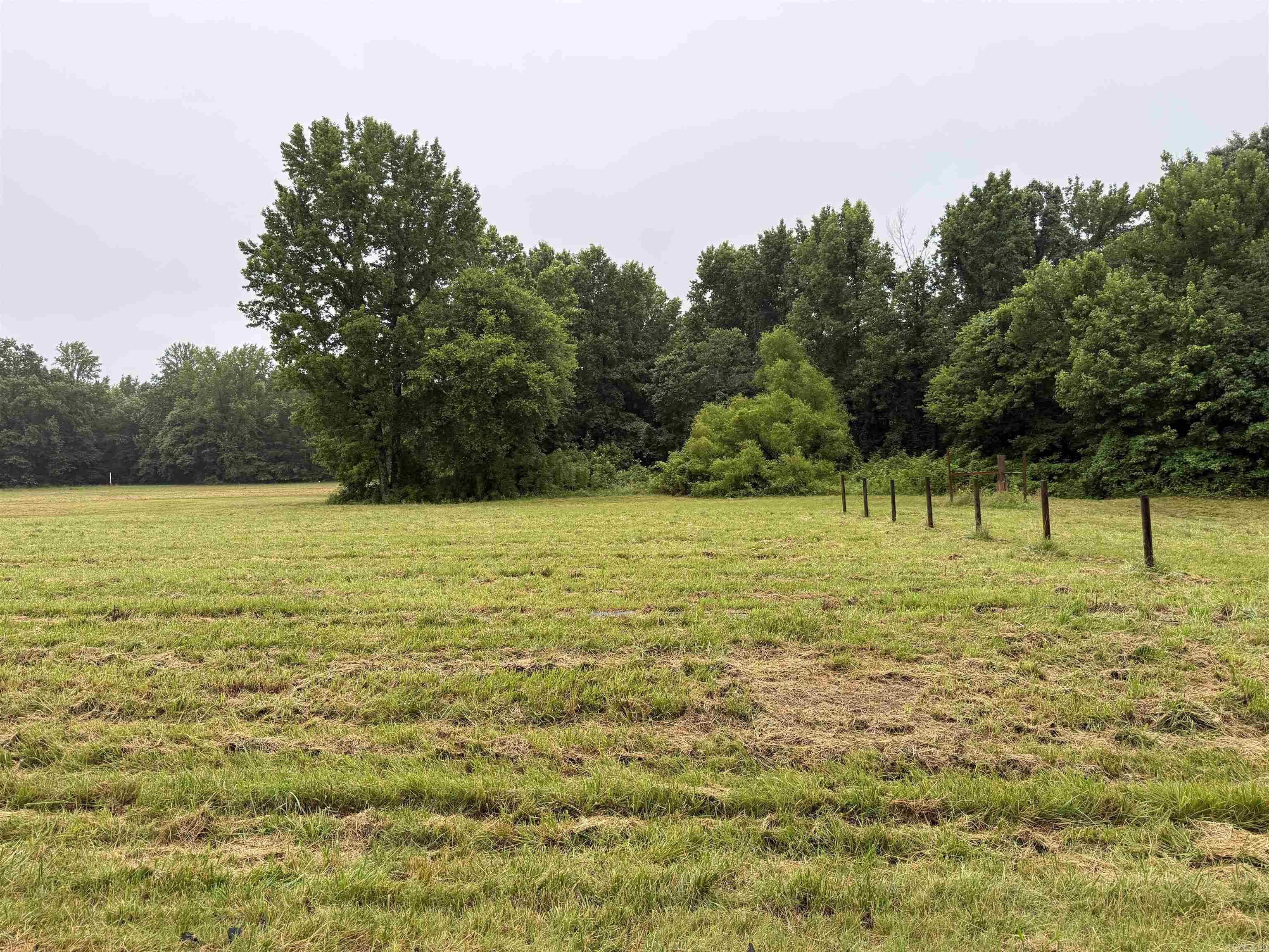 100 Acres Highway 34 West Property Photo 19