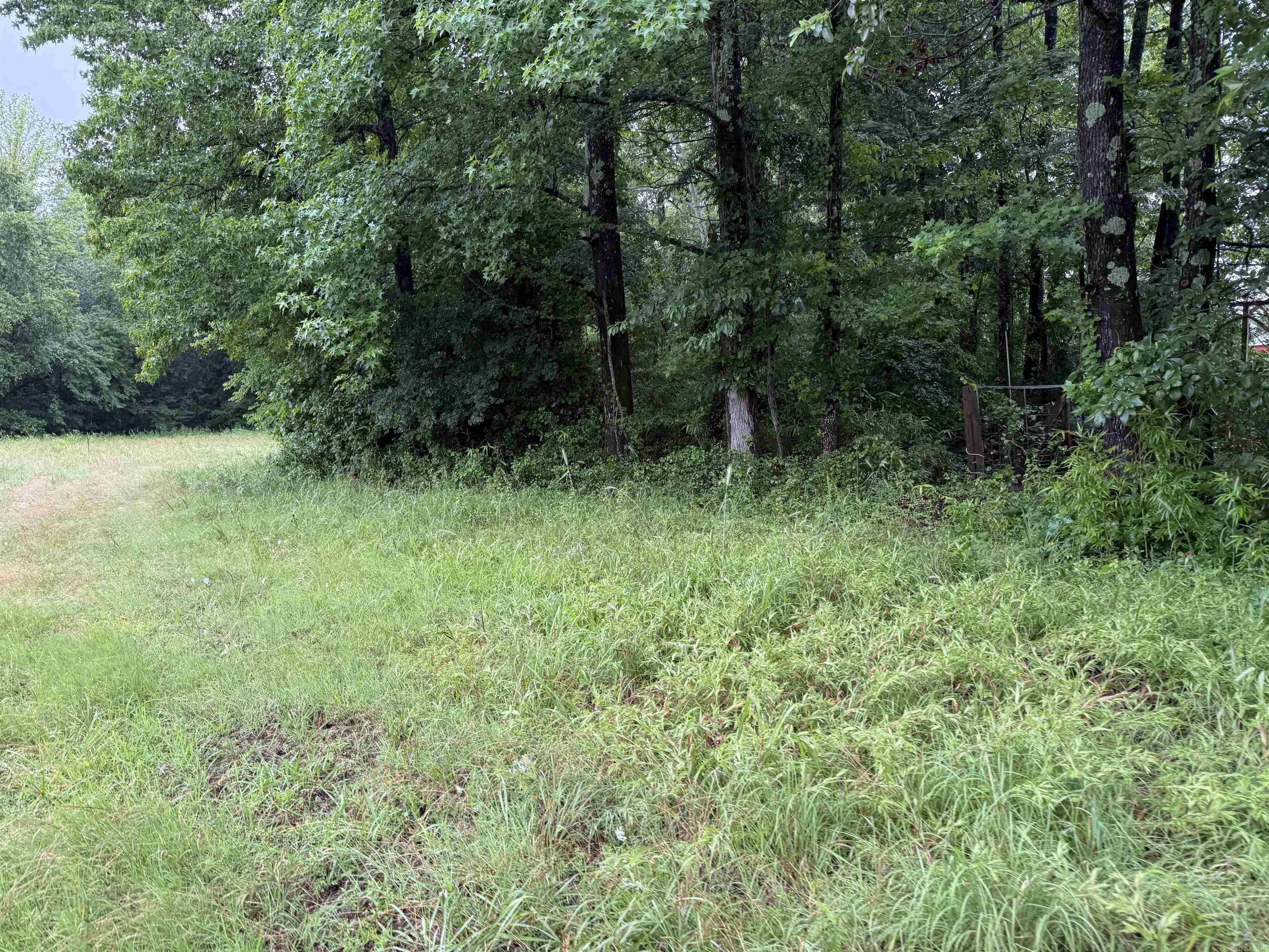 100 Acres Highway 34 West Property Photo 20