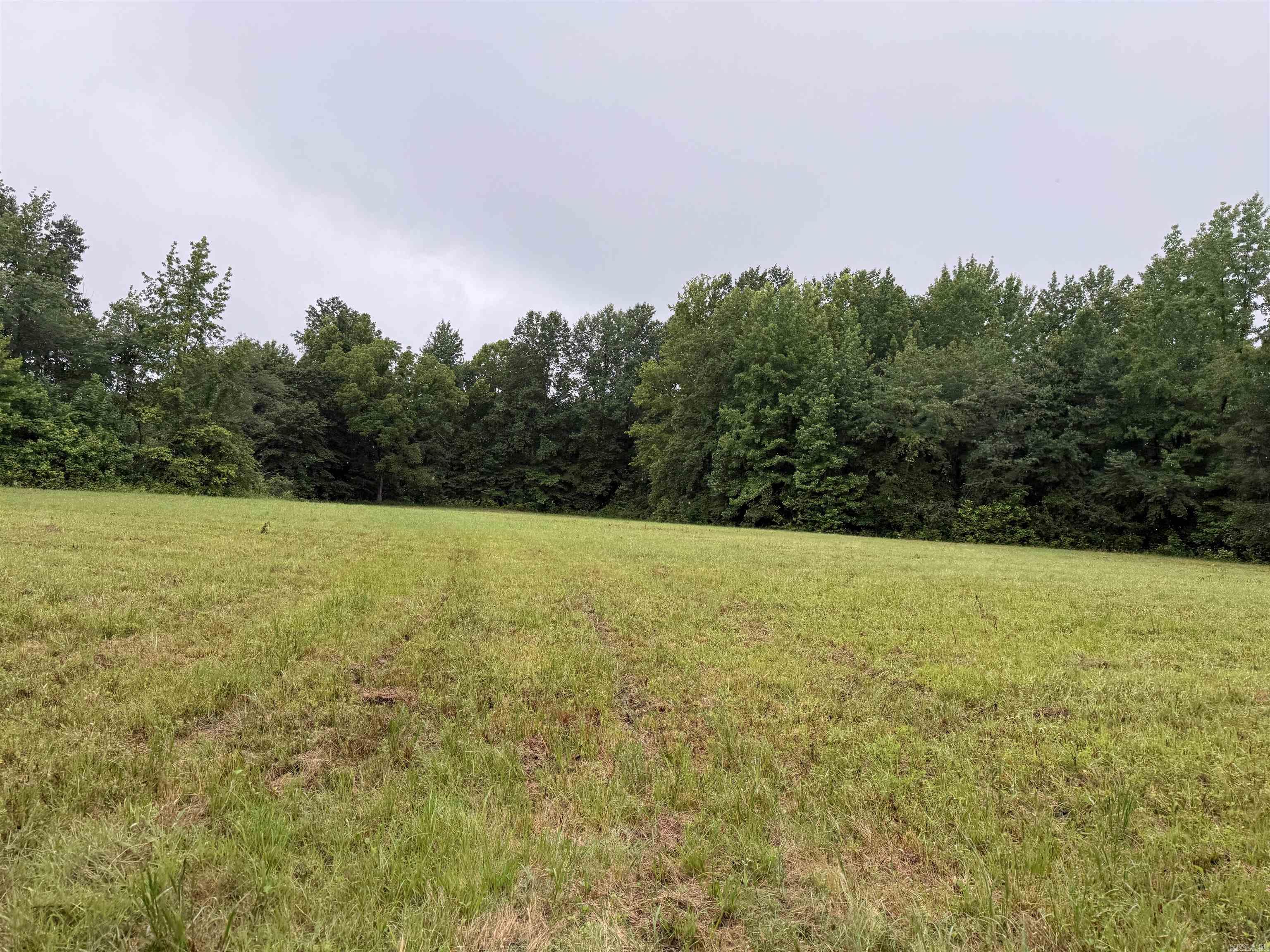 100 Acres Highway 34 West Property Photo 21