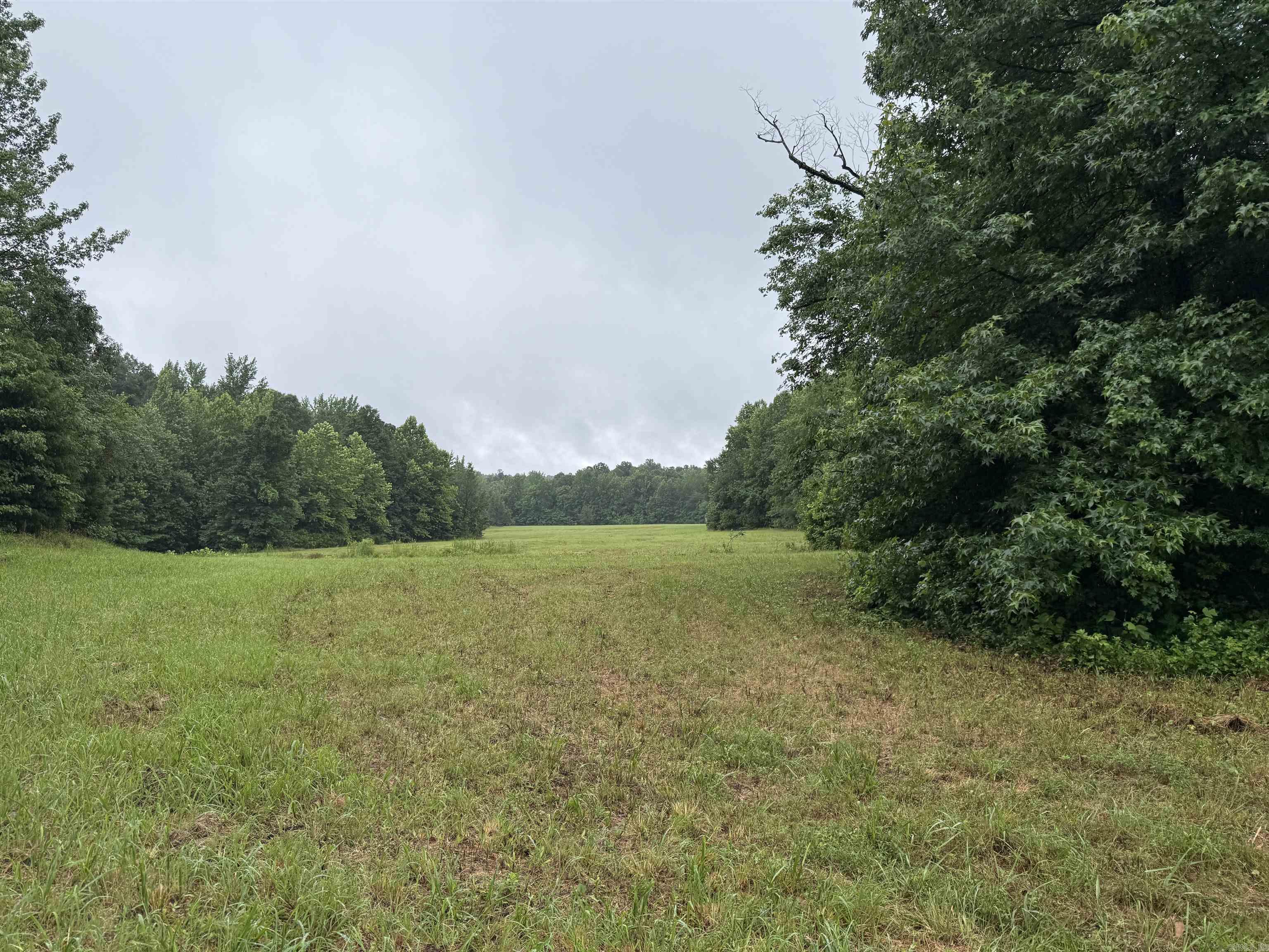 100 Acres Highway 34 West Property Photo 22
