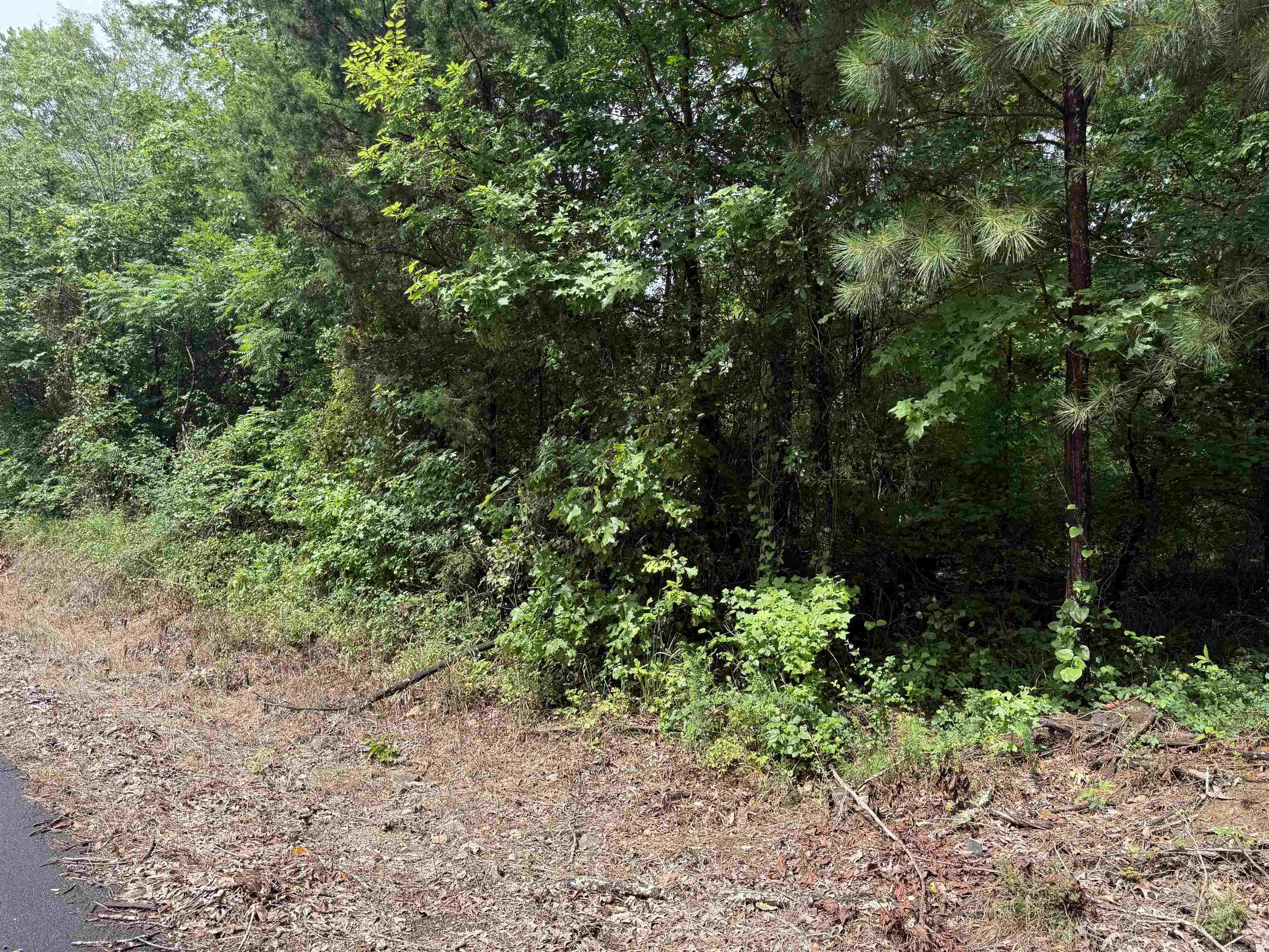 Tbd Cc Road Property Photo 4