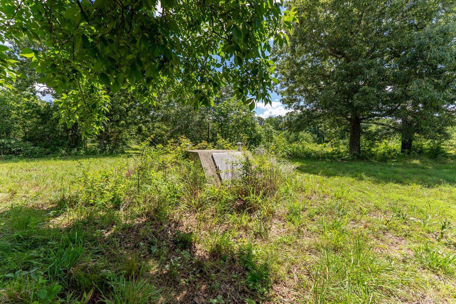 538 Pleasant Run Road Property Photo 31
