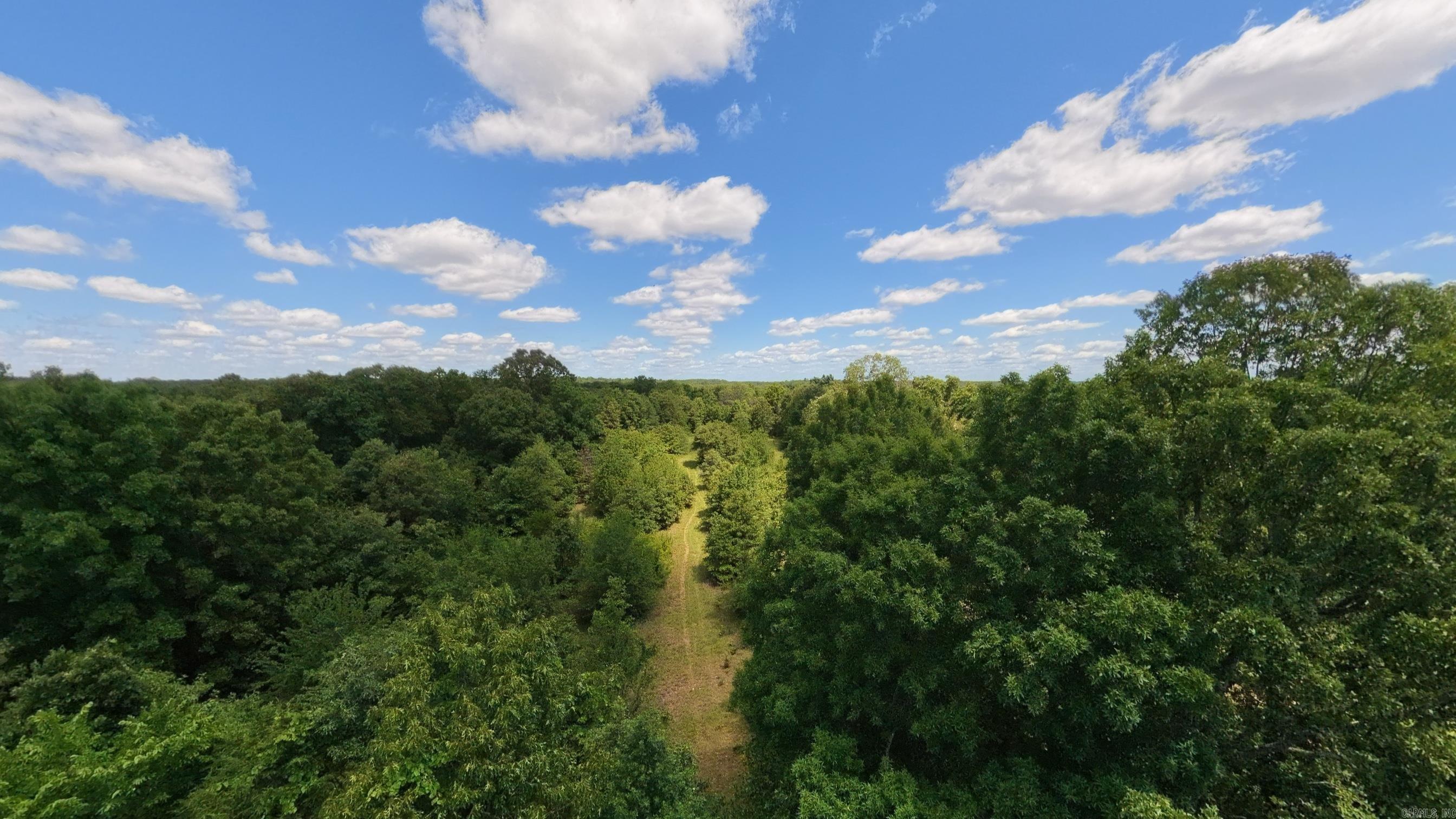 538 Pleasant Run Road Property Photo 35