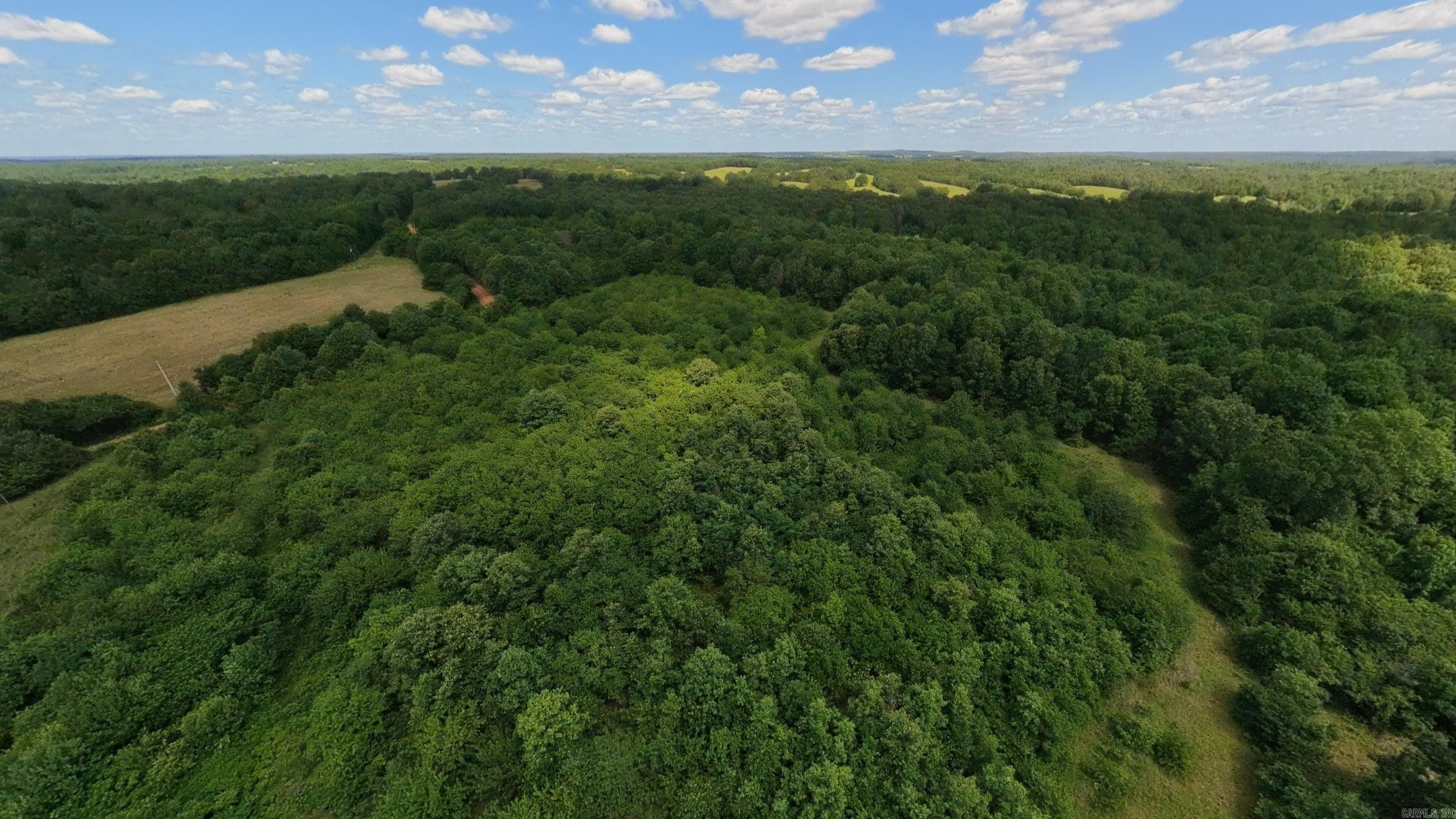 538 Pleasant Run Road Property Photo 41