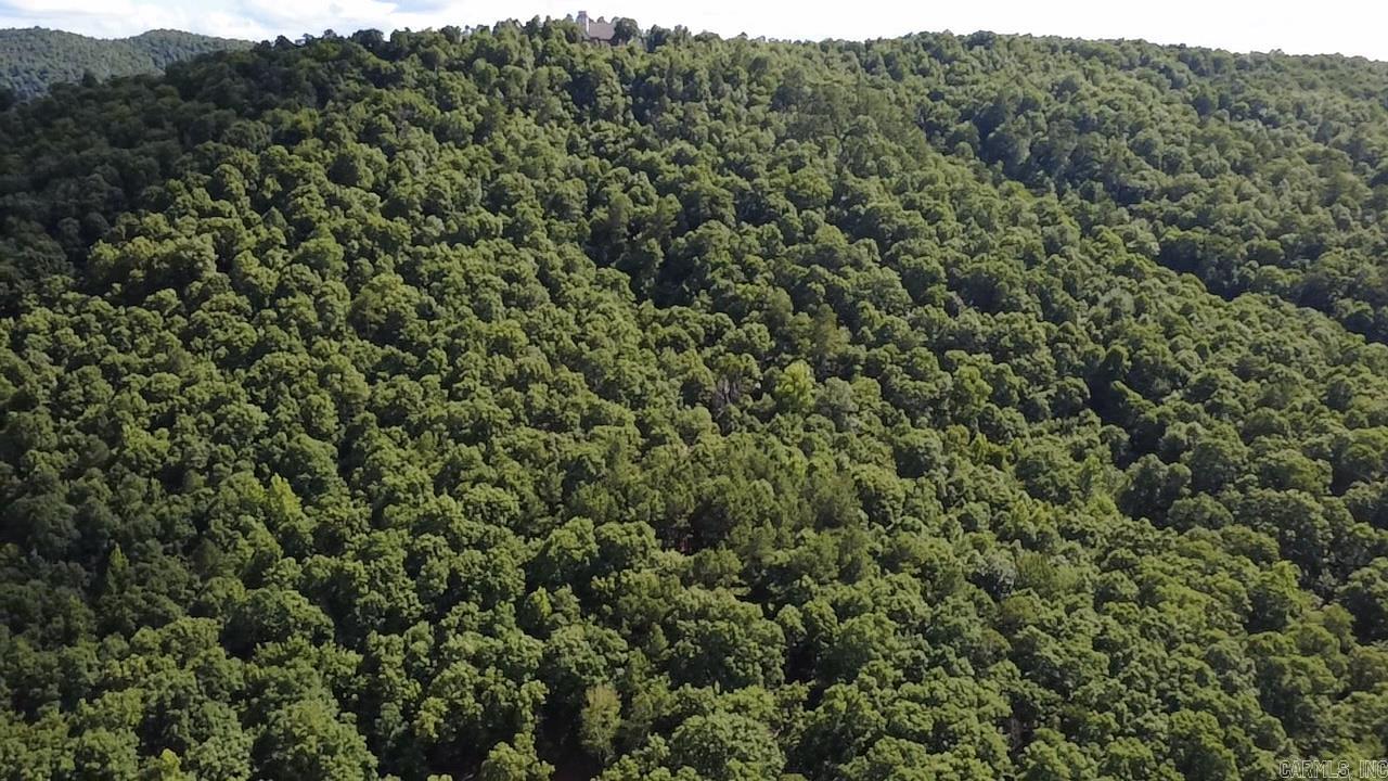 Unk Timber Lane Property Photo 8