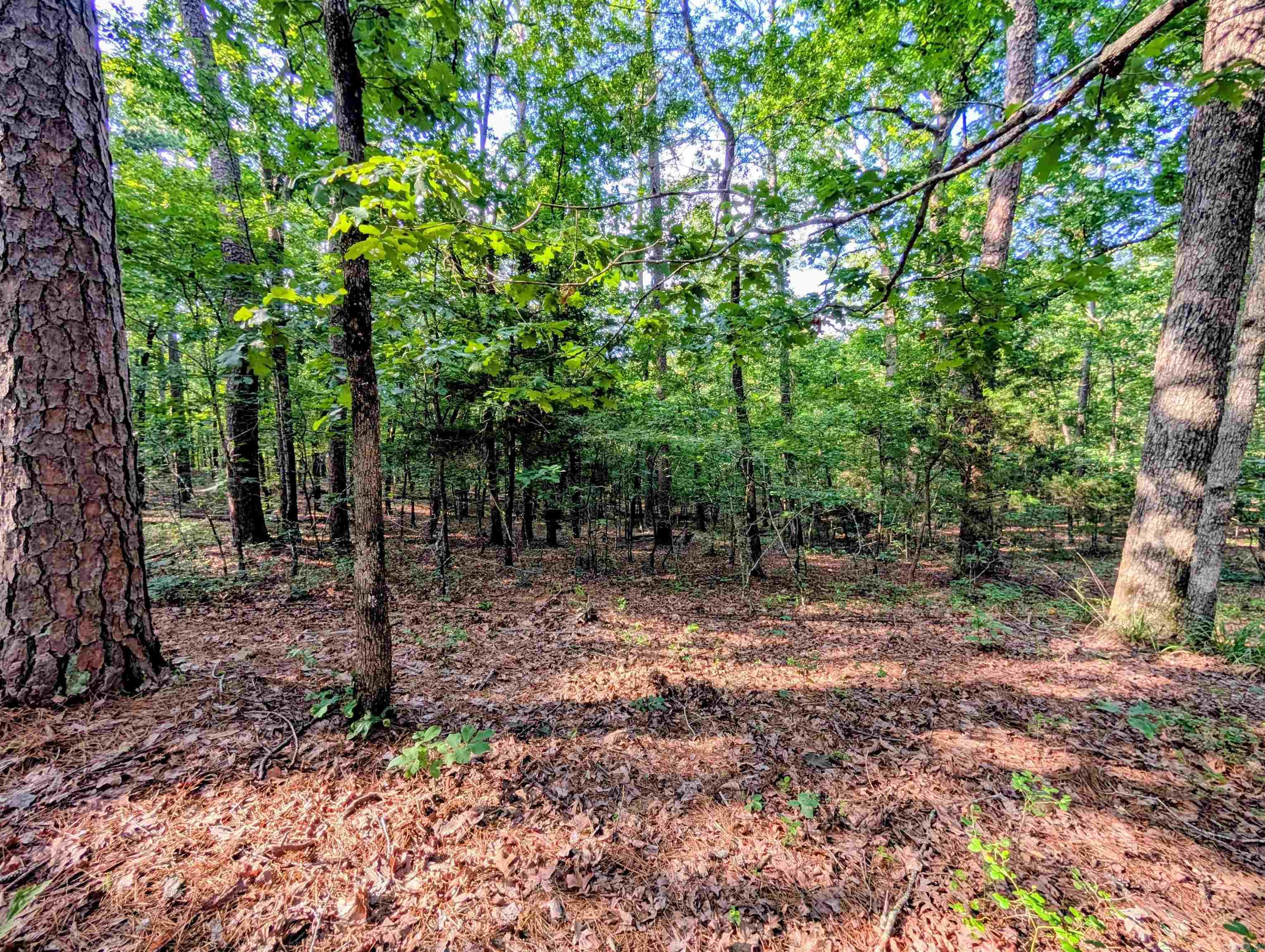 198 Cathedral Pines Property Photo 1