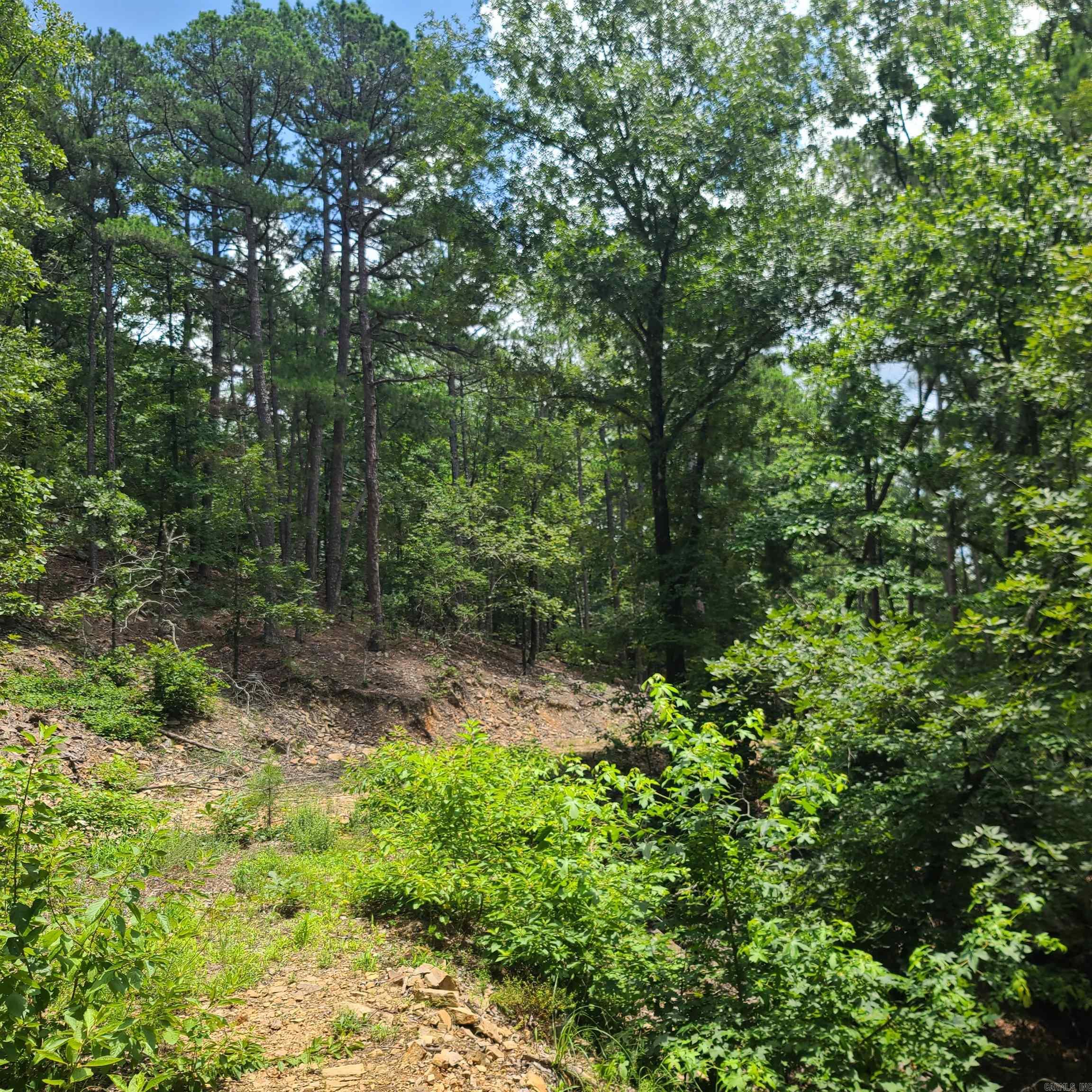 000 Cedar Glade Rd- Lot #wp000 Property Photo 1