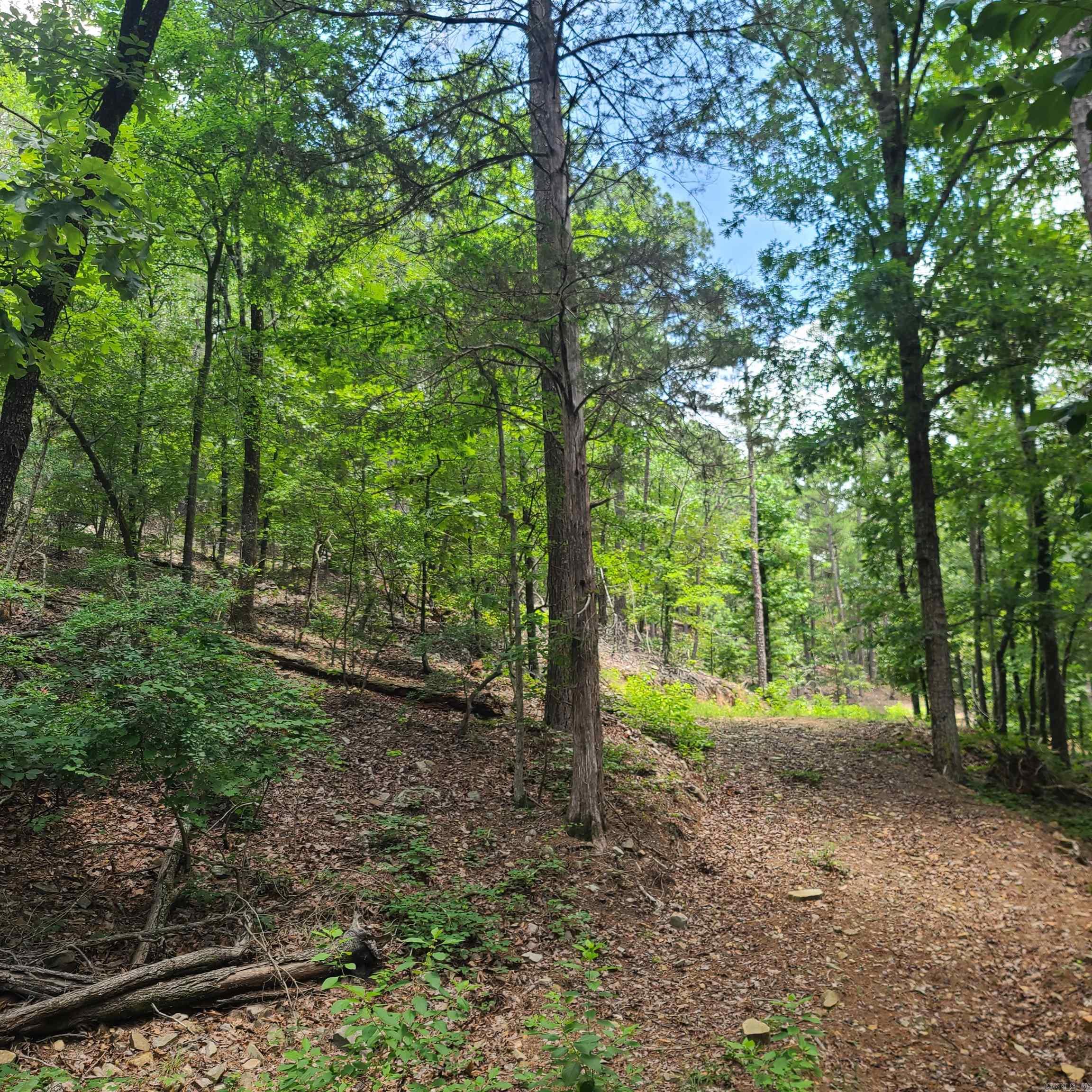 000 Cedar Glade Rd- Lot #wp000 Property Photo 2
