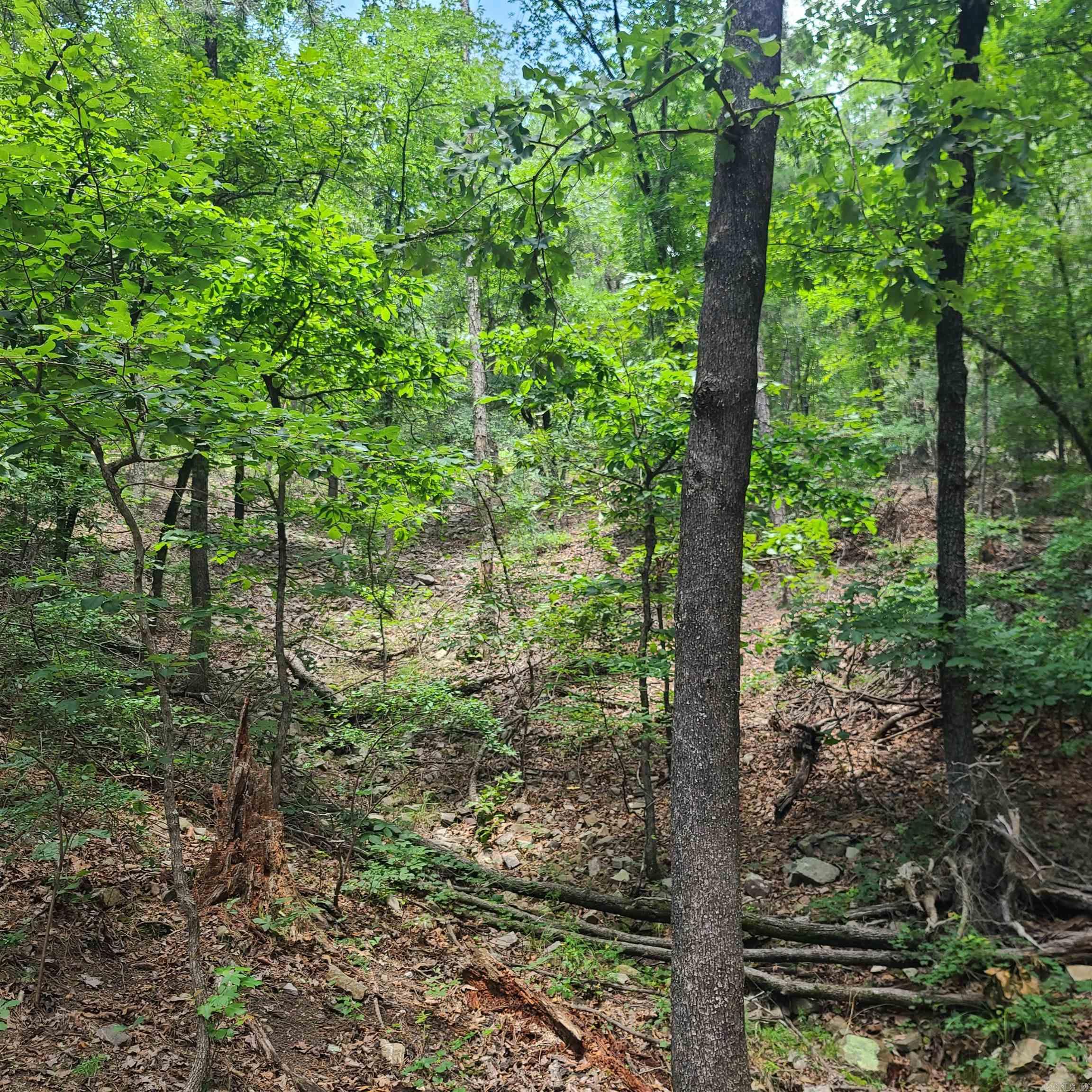 000 Cedar Glade Rd- Lot #wp000 Property Photo 3