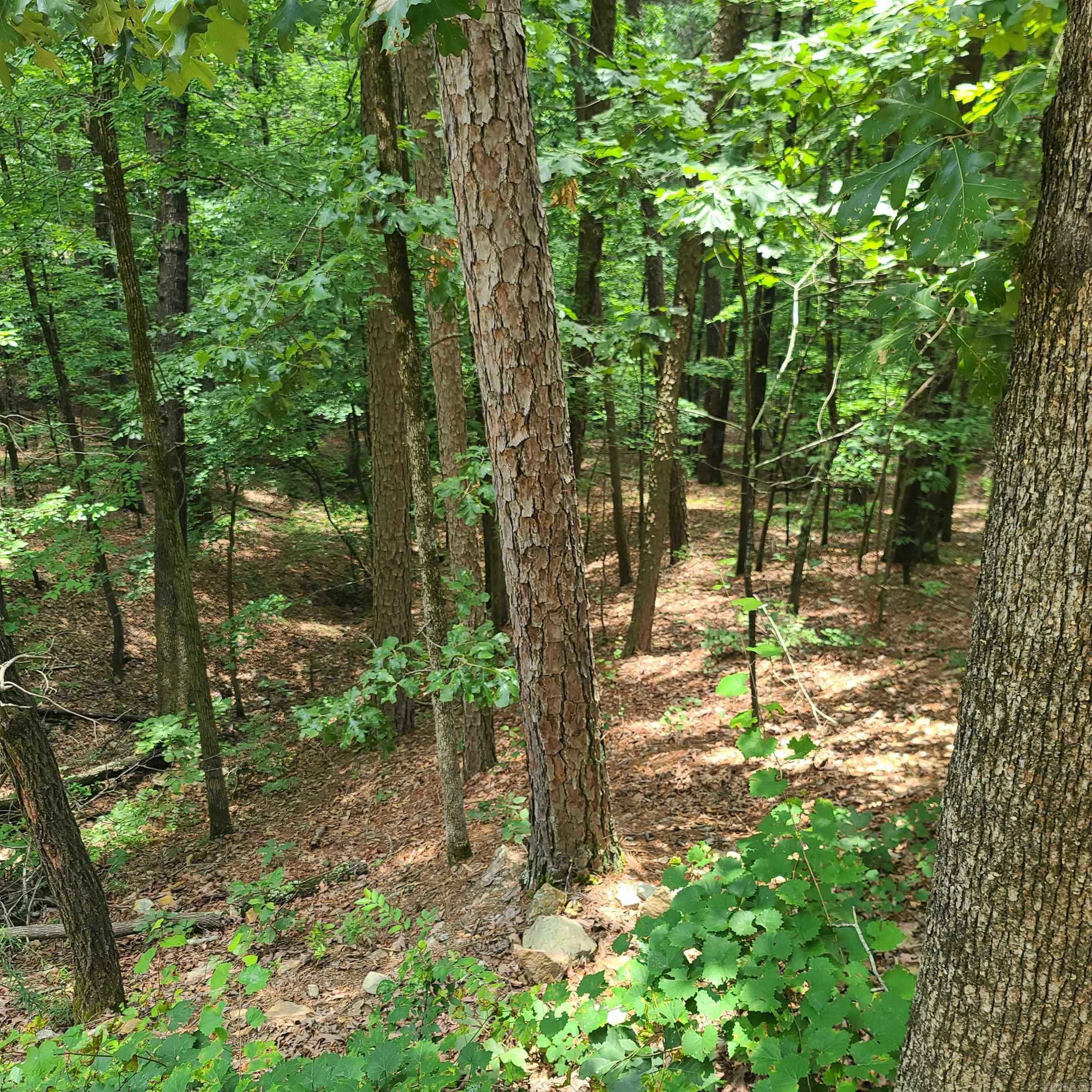000 Cedar Glade Rd- Lot #wp000 Property Photo 4