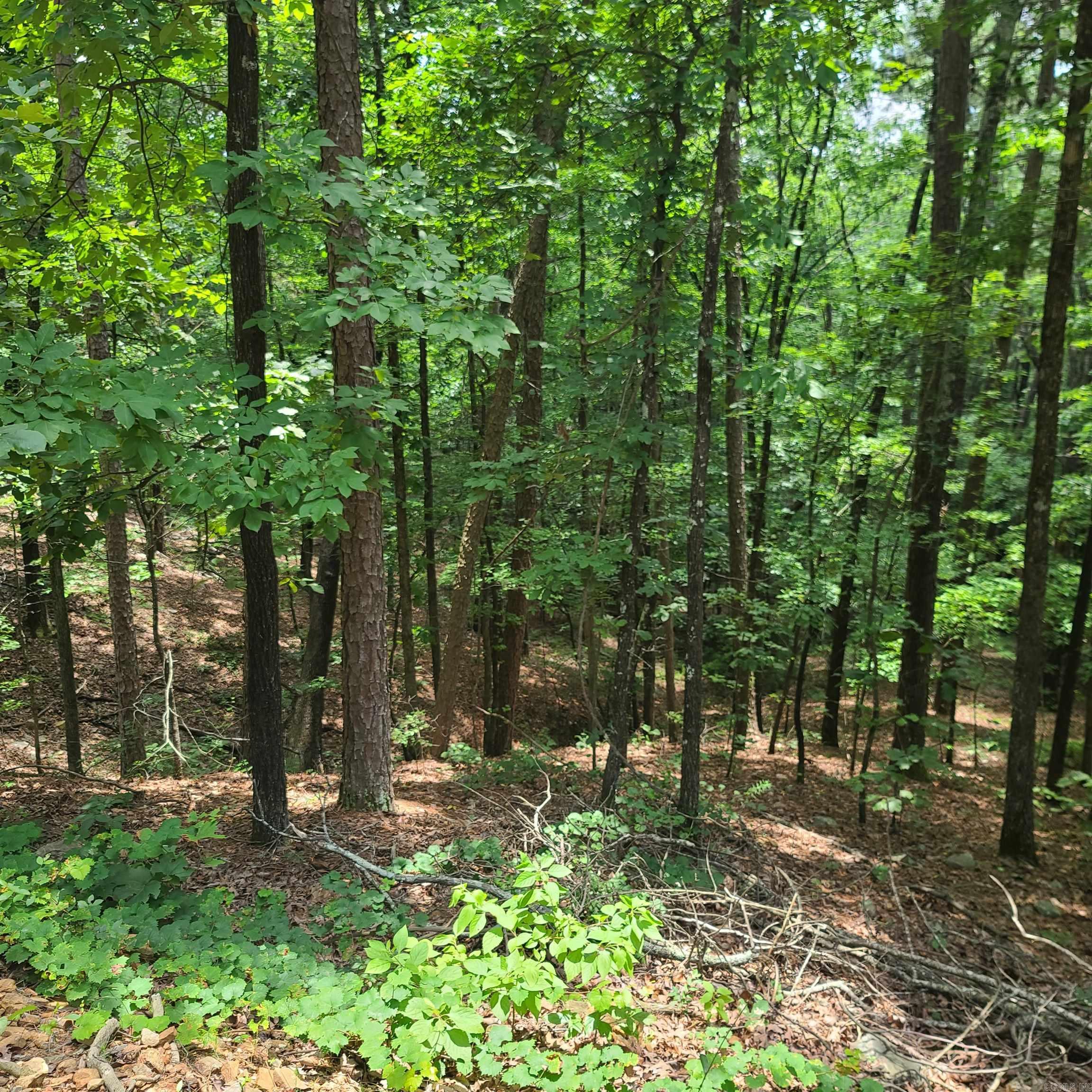 000 Cedar Glade Rd- Lot #wp000 Property Photo 5