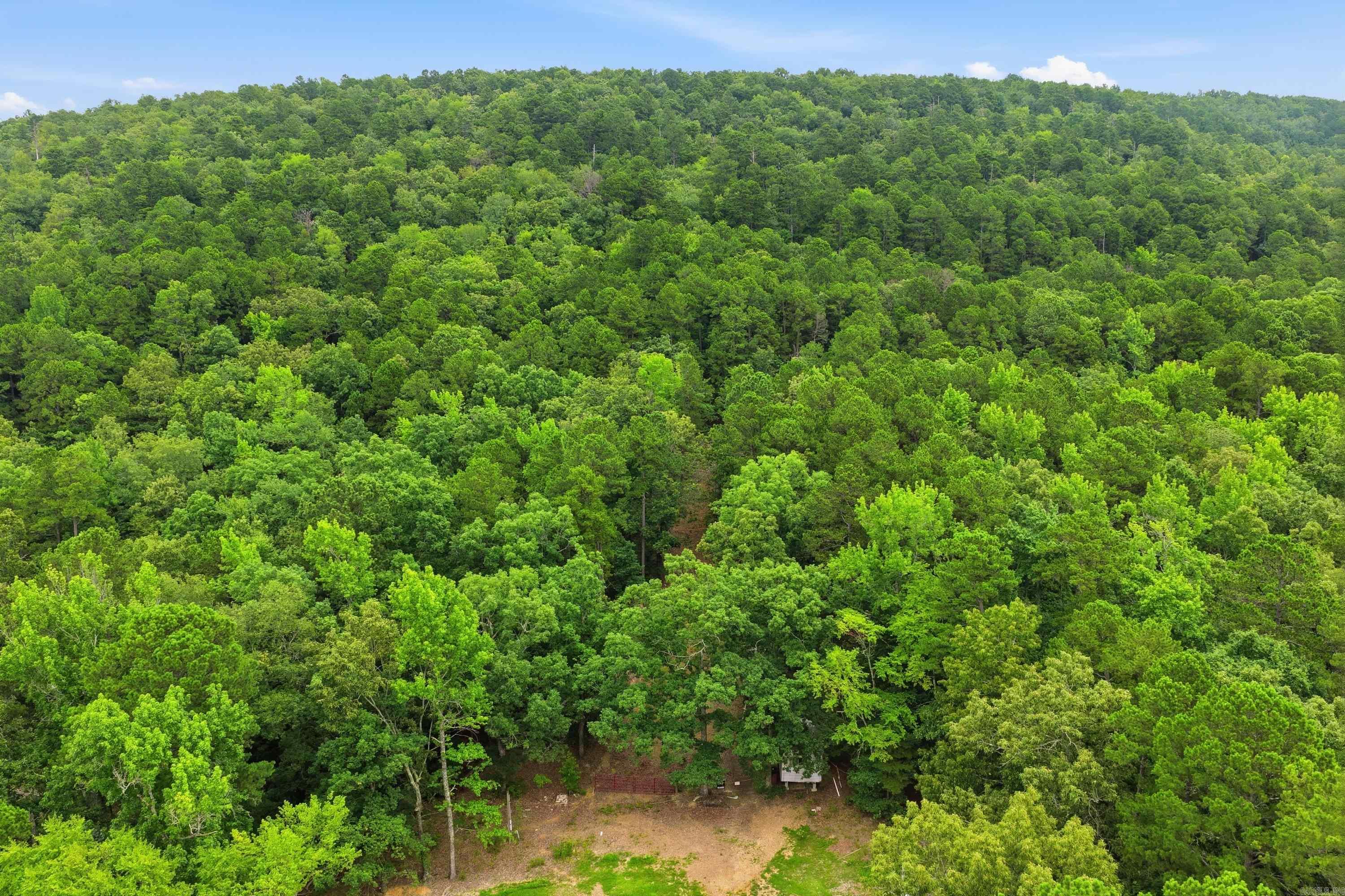 000 Cedar Glade Rd- Lot #wp000 Property Photo 13