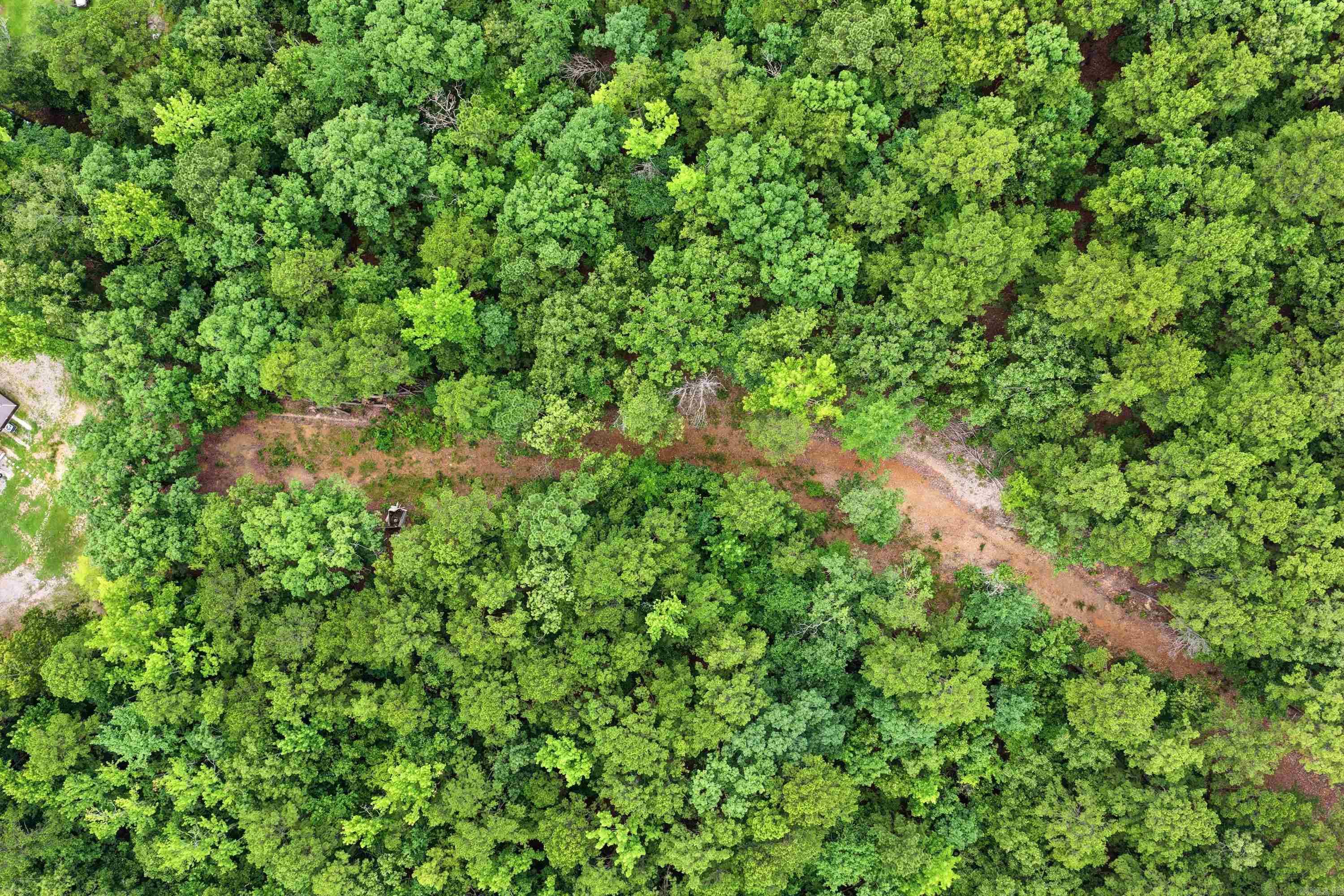 000 Cedar Glade Rd- Lot #wp000 Property Photo 17