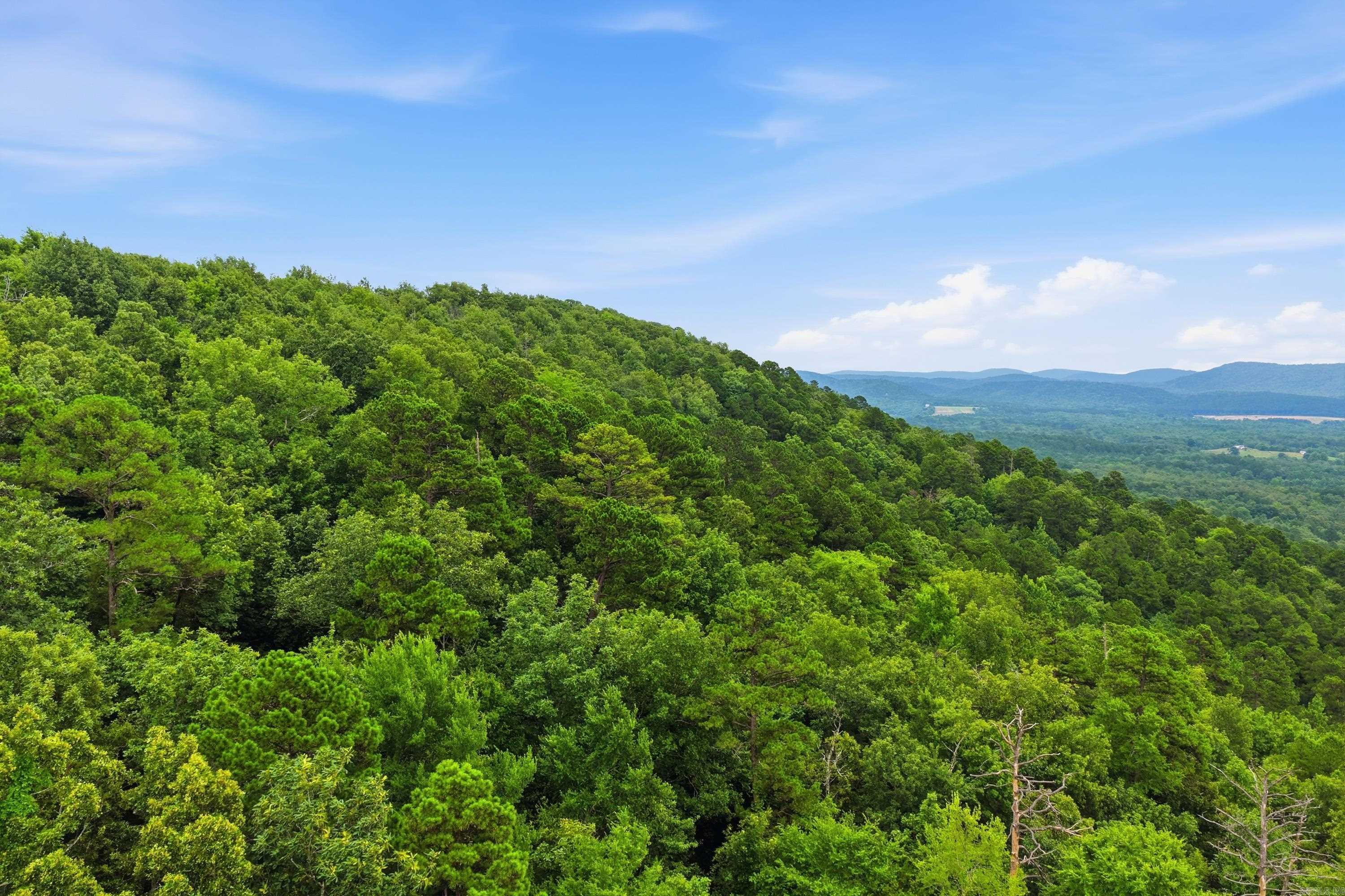 000 Cedar Glade Rd- Lot #wp000 Property Photo 24
