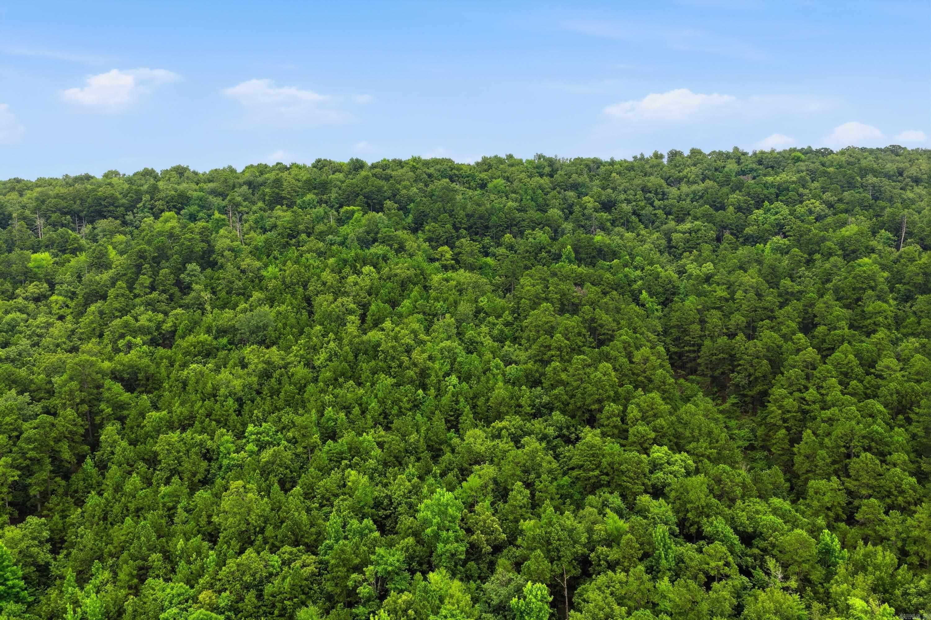 000 Cedar Glade Rd- Lot #wp000 Property Photo 25
