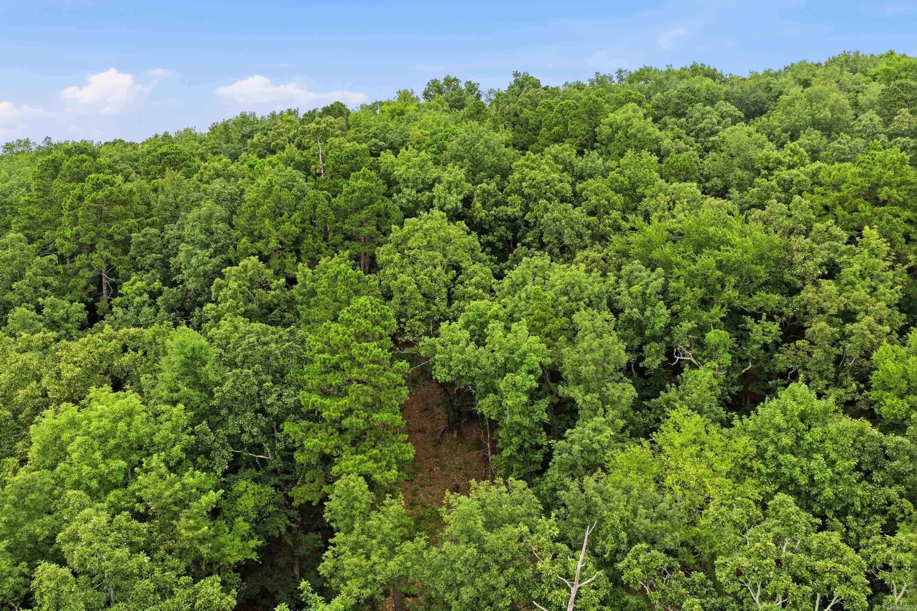 000 Cedar Glade Rd- Lot #wp000 Property Photo 31