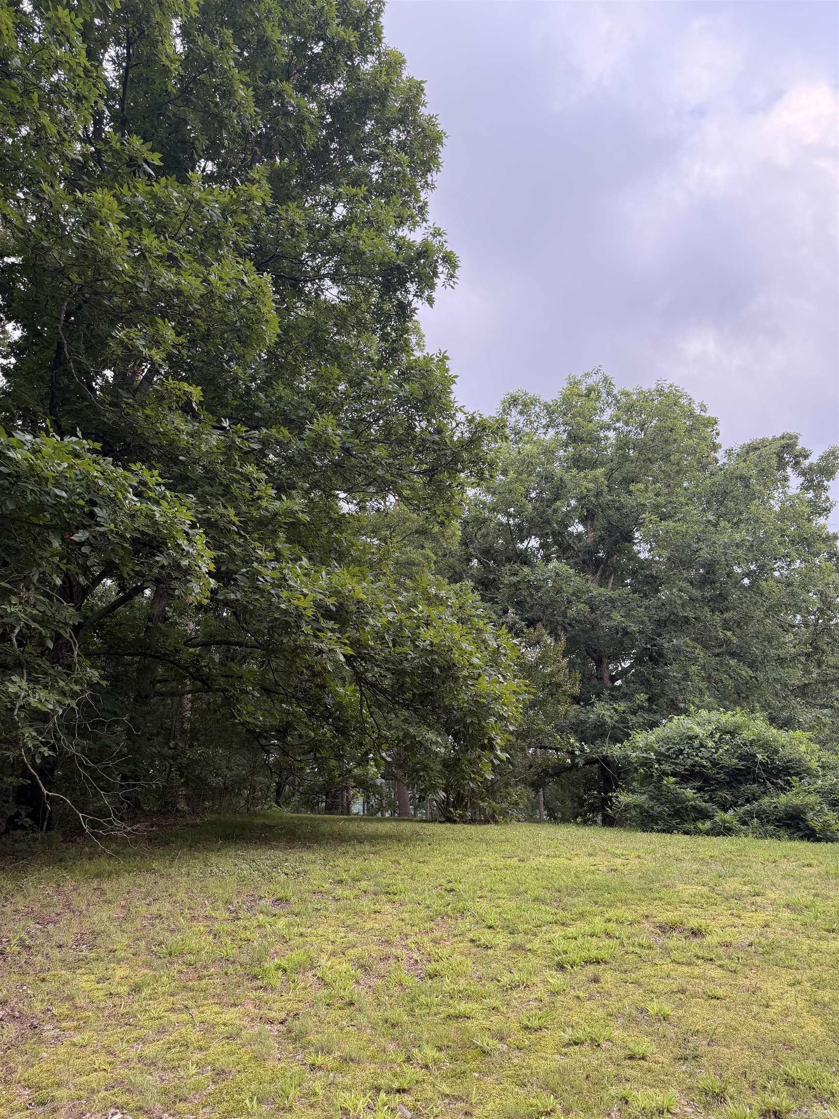 1720 Mountain View Rd Road Property Photo 4